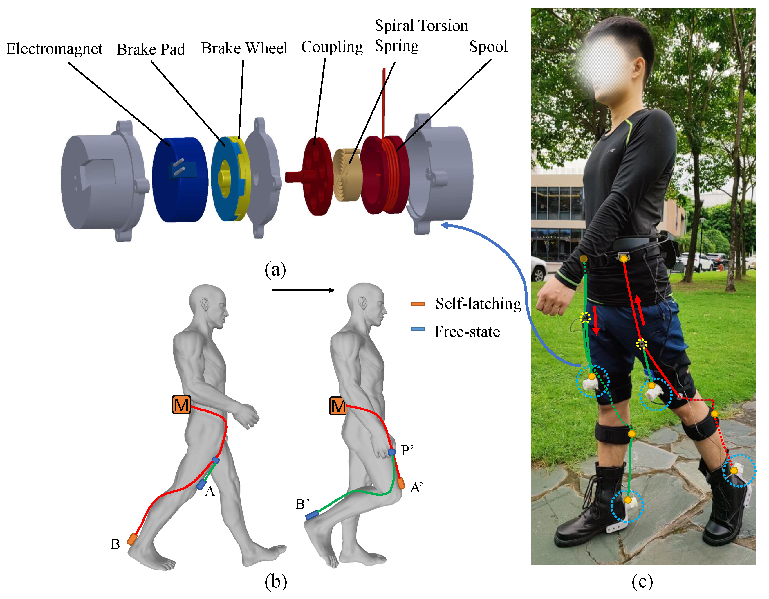 Micromachines 12 01150 g001 550