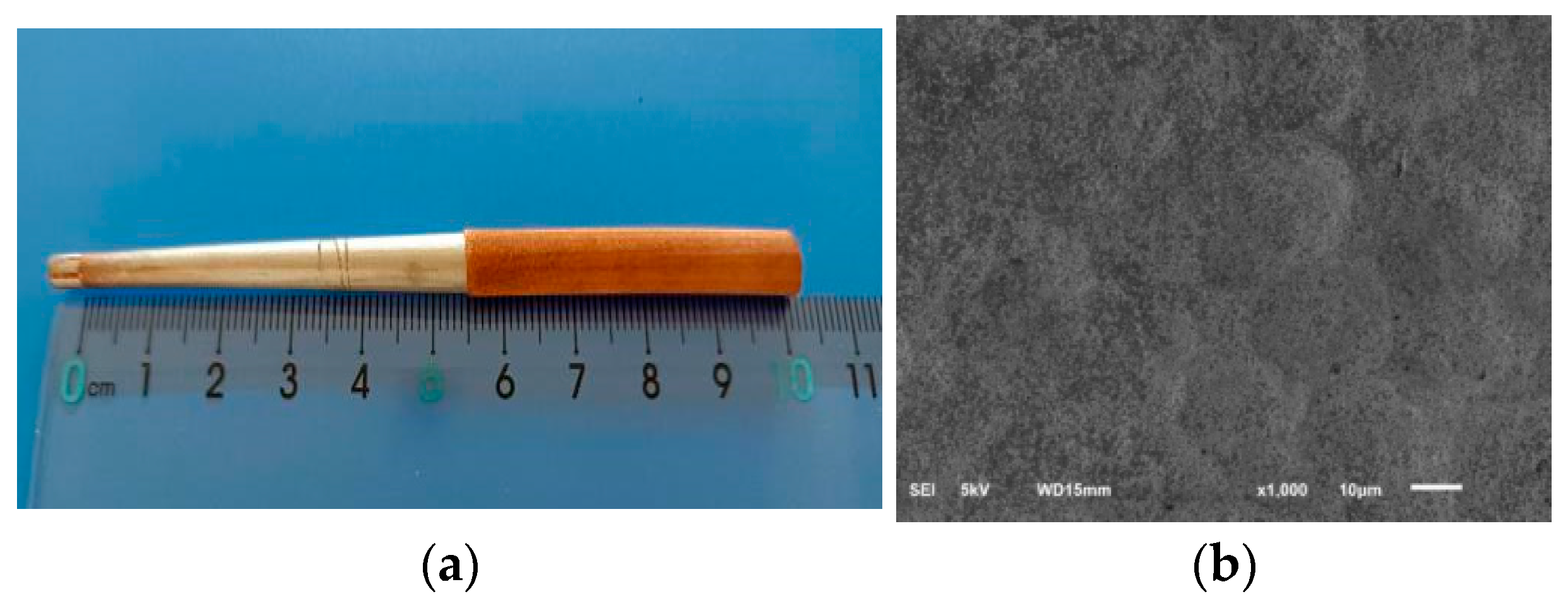 Micromachines 12 01157 g002