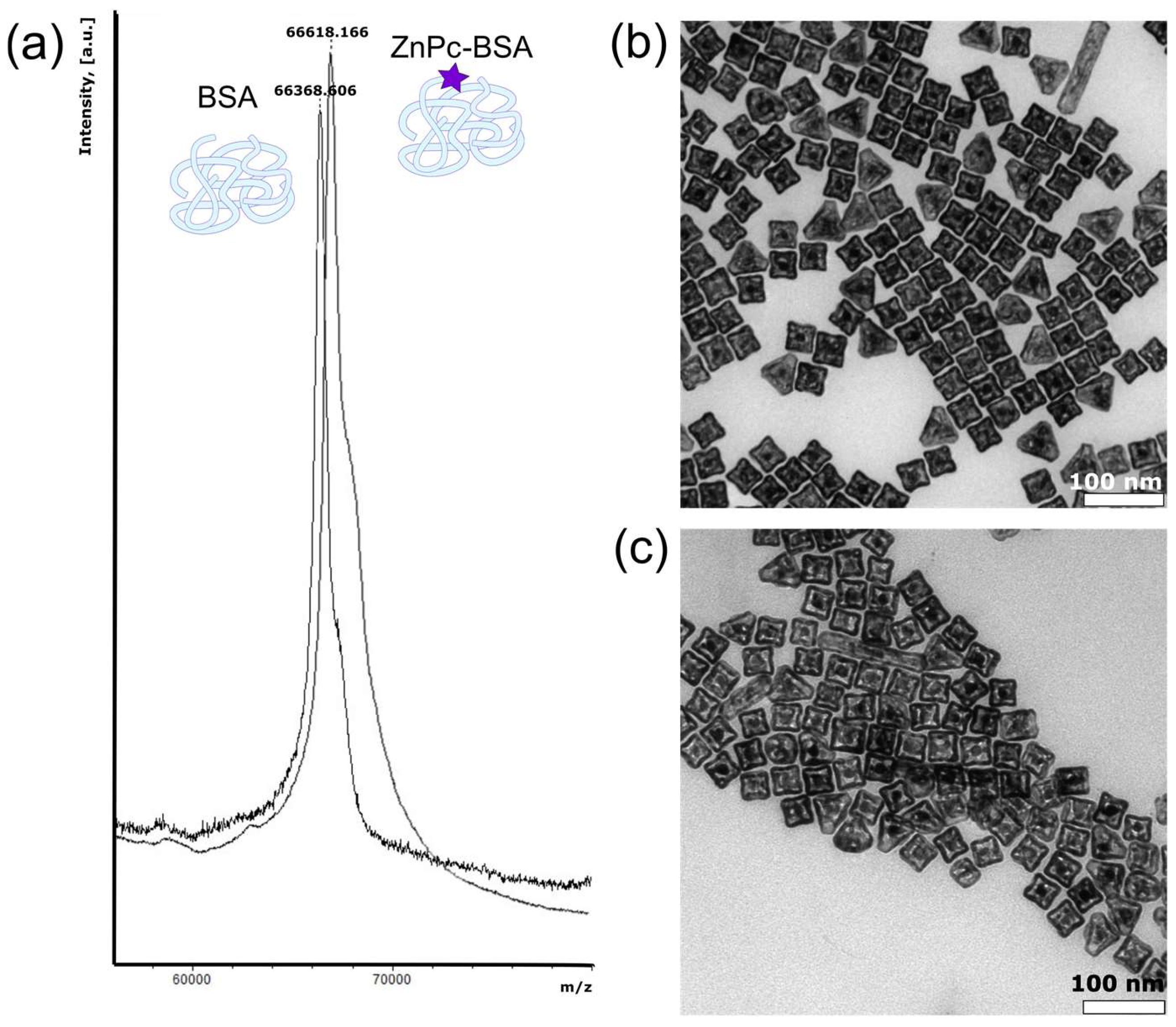 Micromachines 12 01161 g001