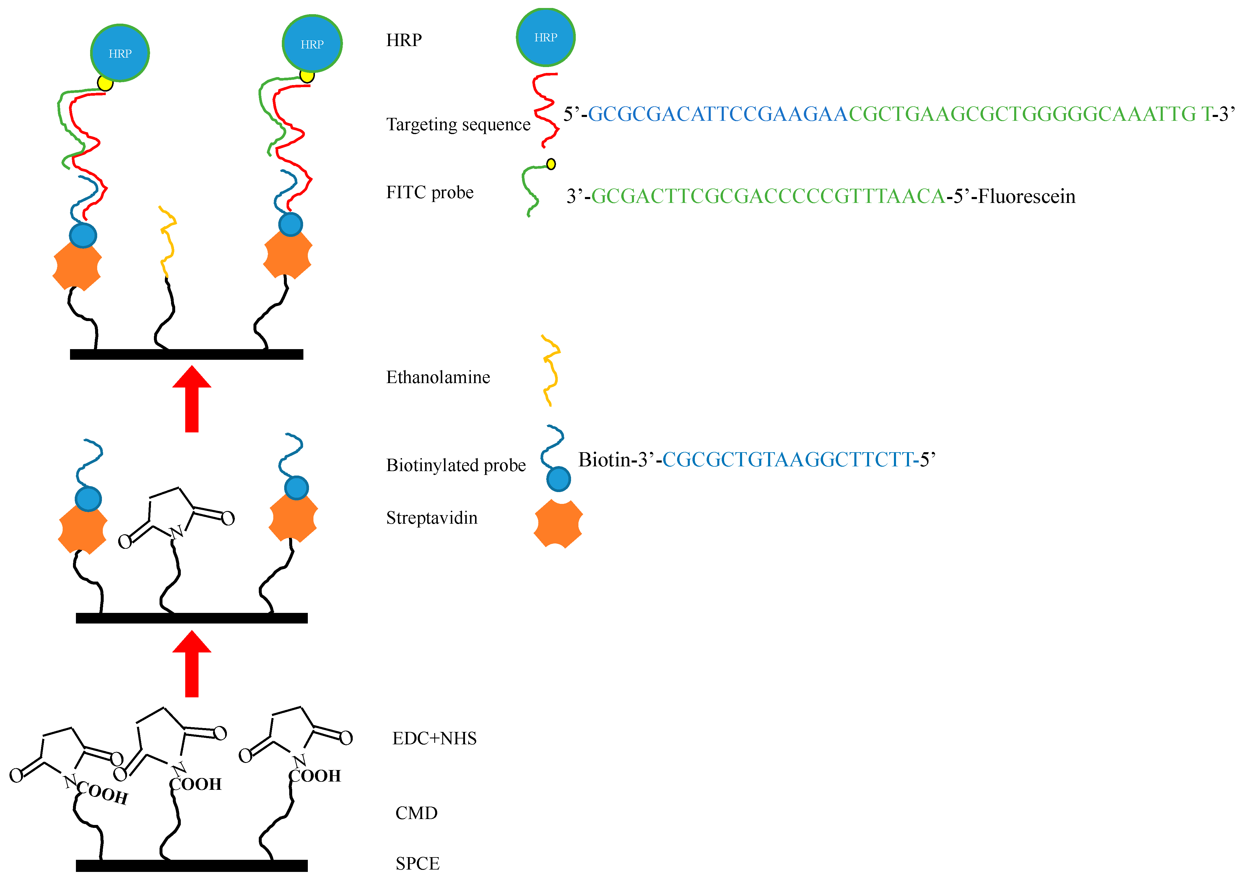 Micromachines 12 01171 g001 550