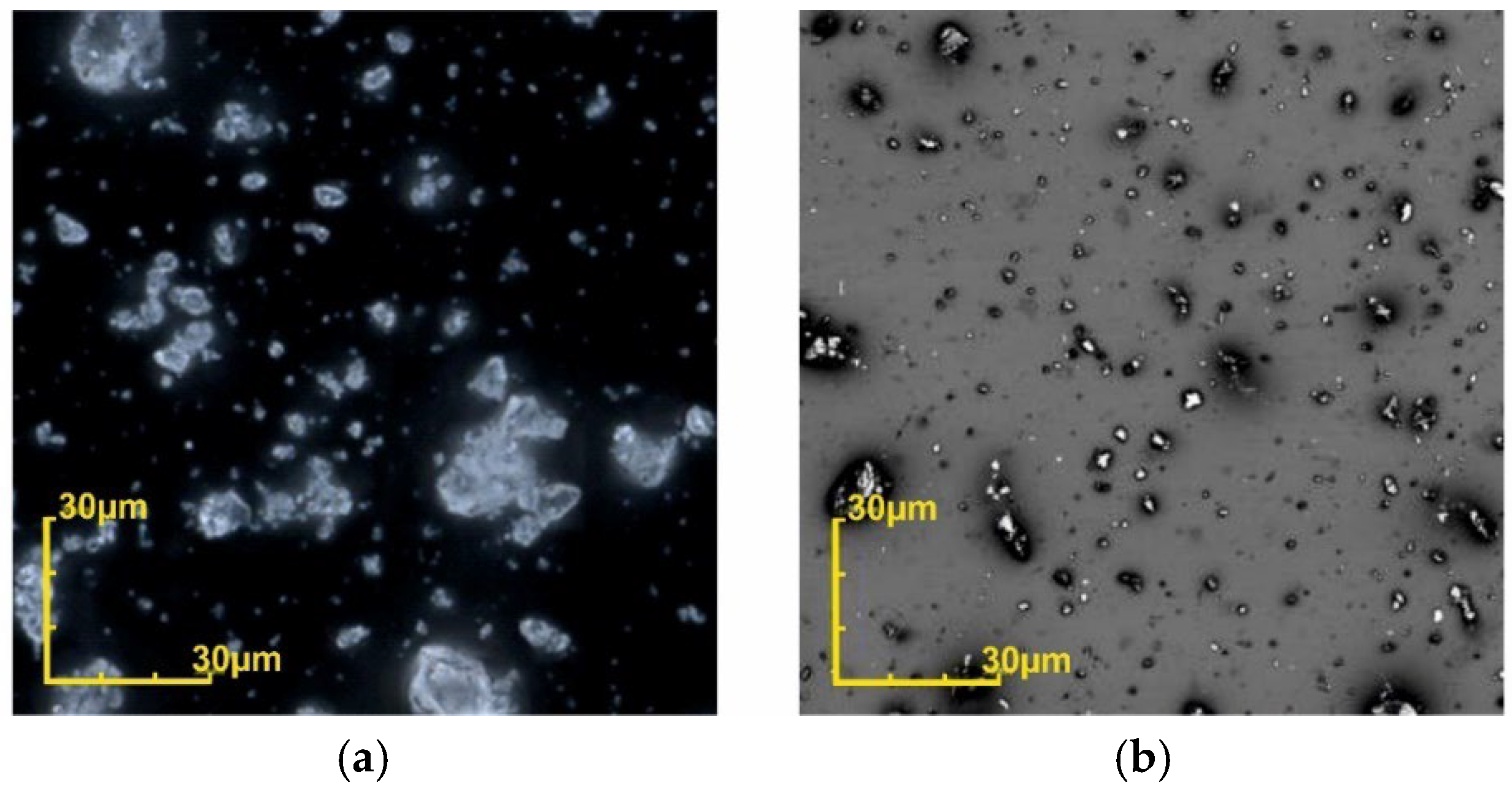 Micromachines 12 01176 g004