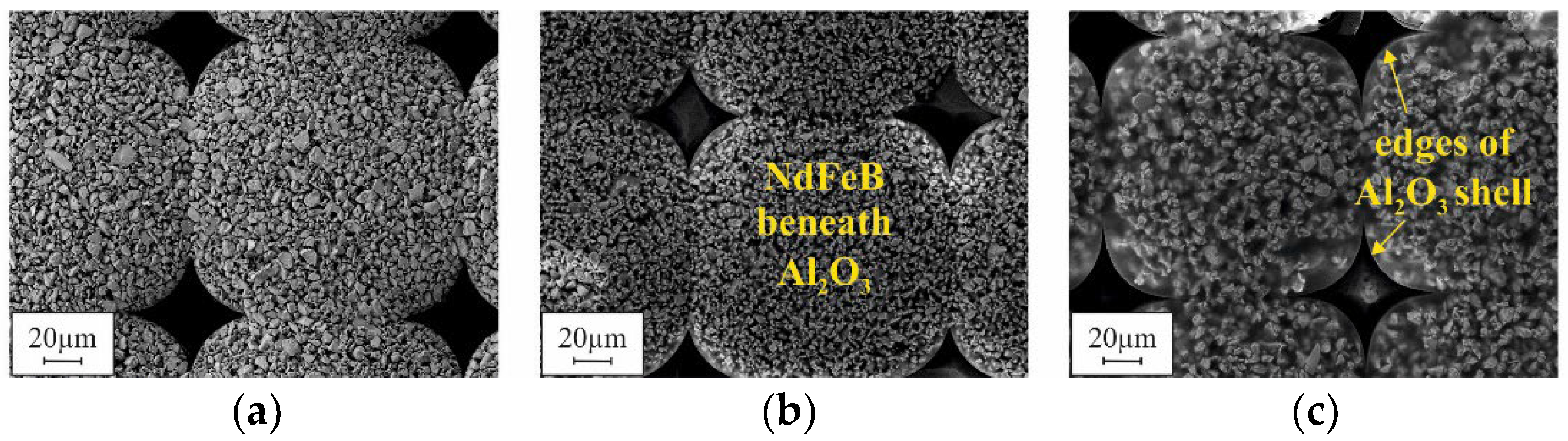 Micromachines 12 01176 g016