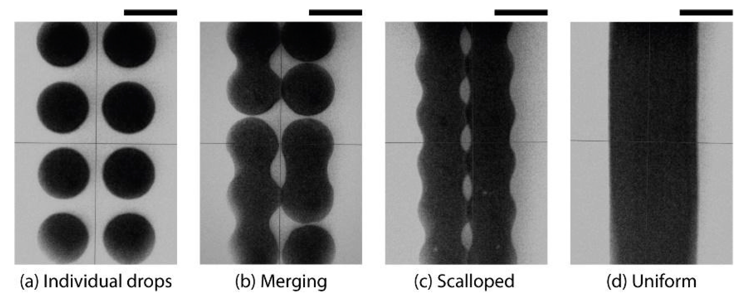 Micromachines 12 01185 g002