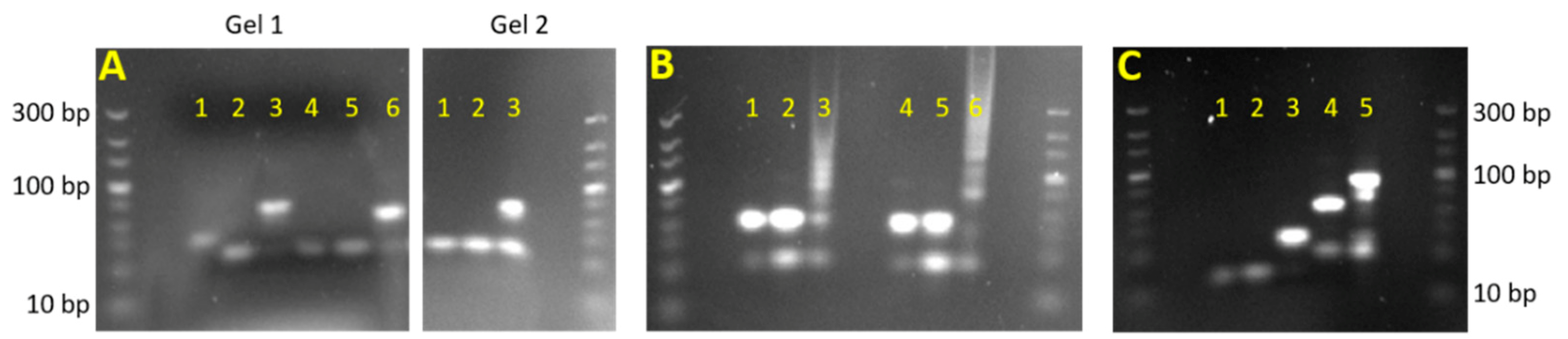 Micromachines 12 01204 g004