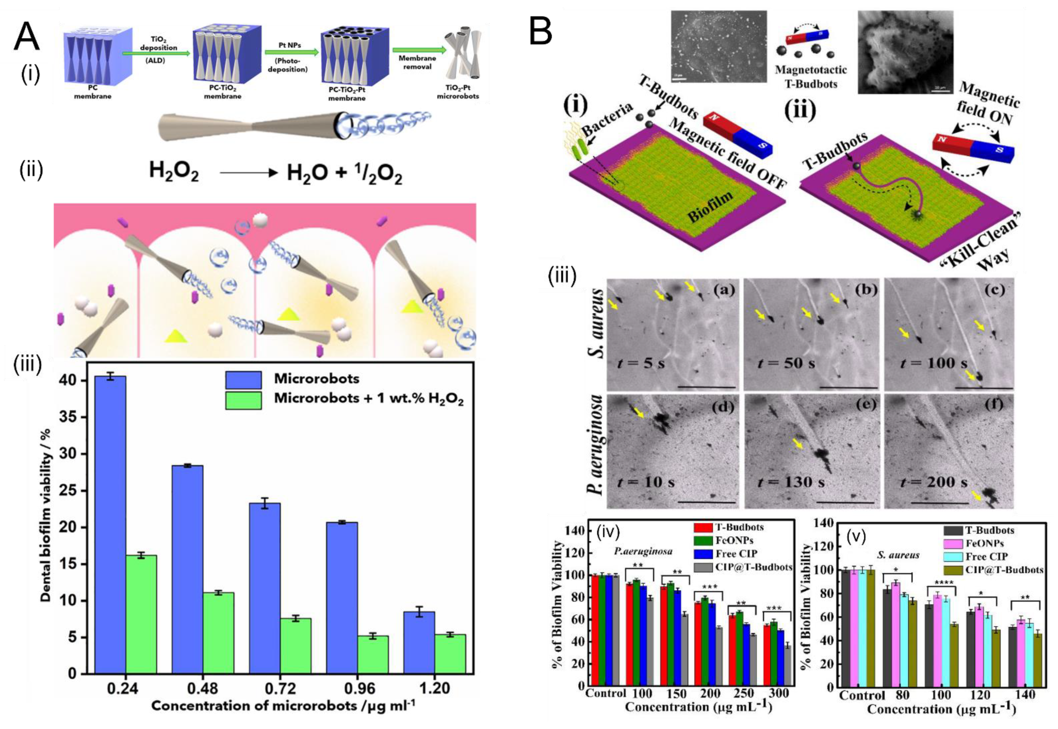 Micromachines 12 01216 g003