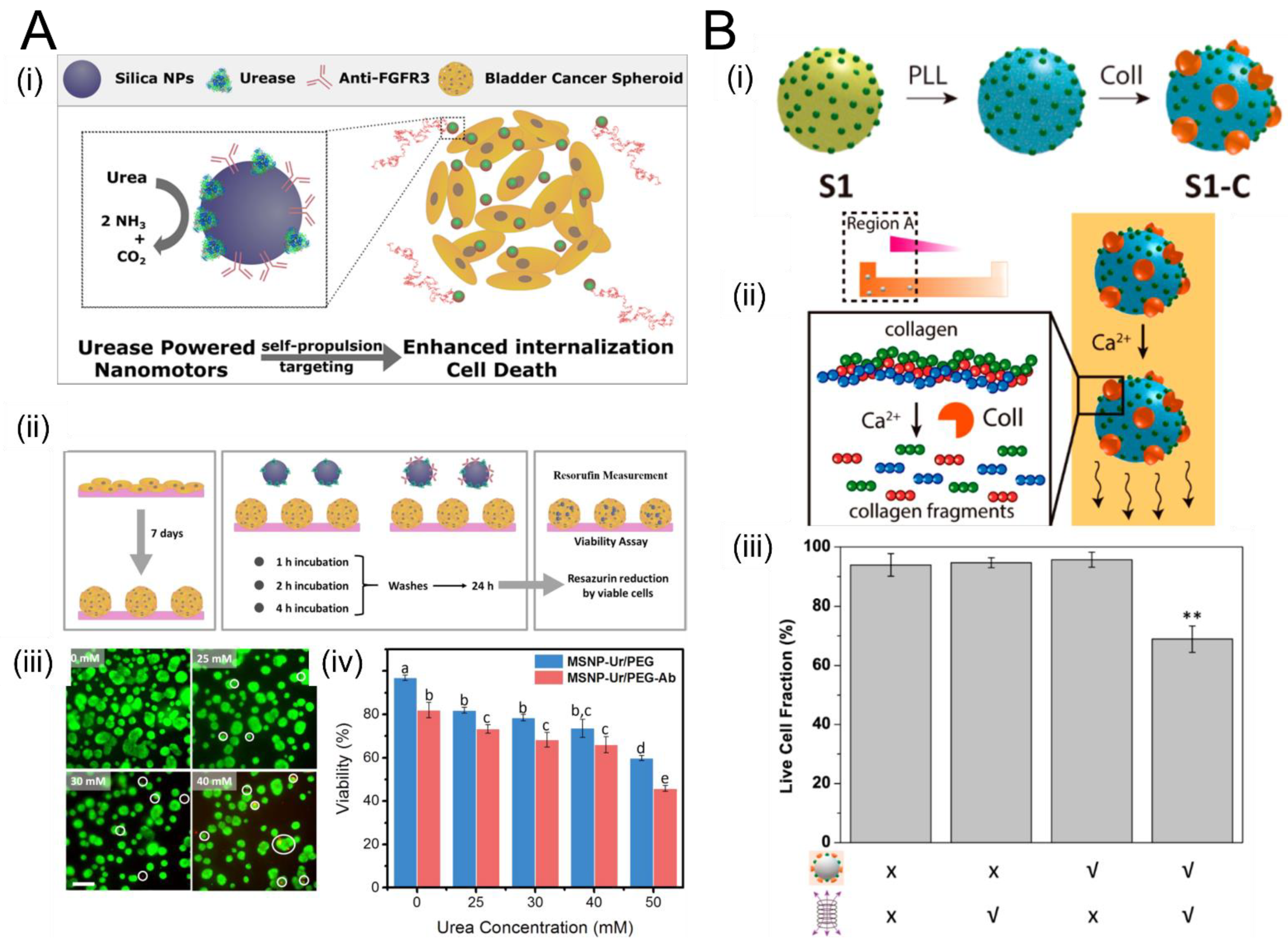 Micromachines 12 01216 g004