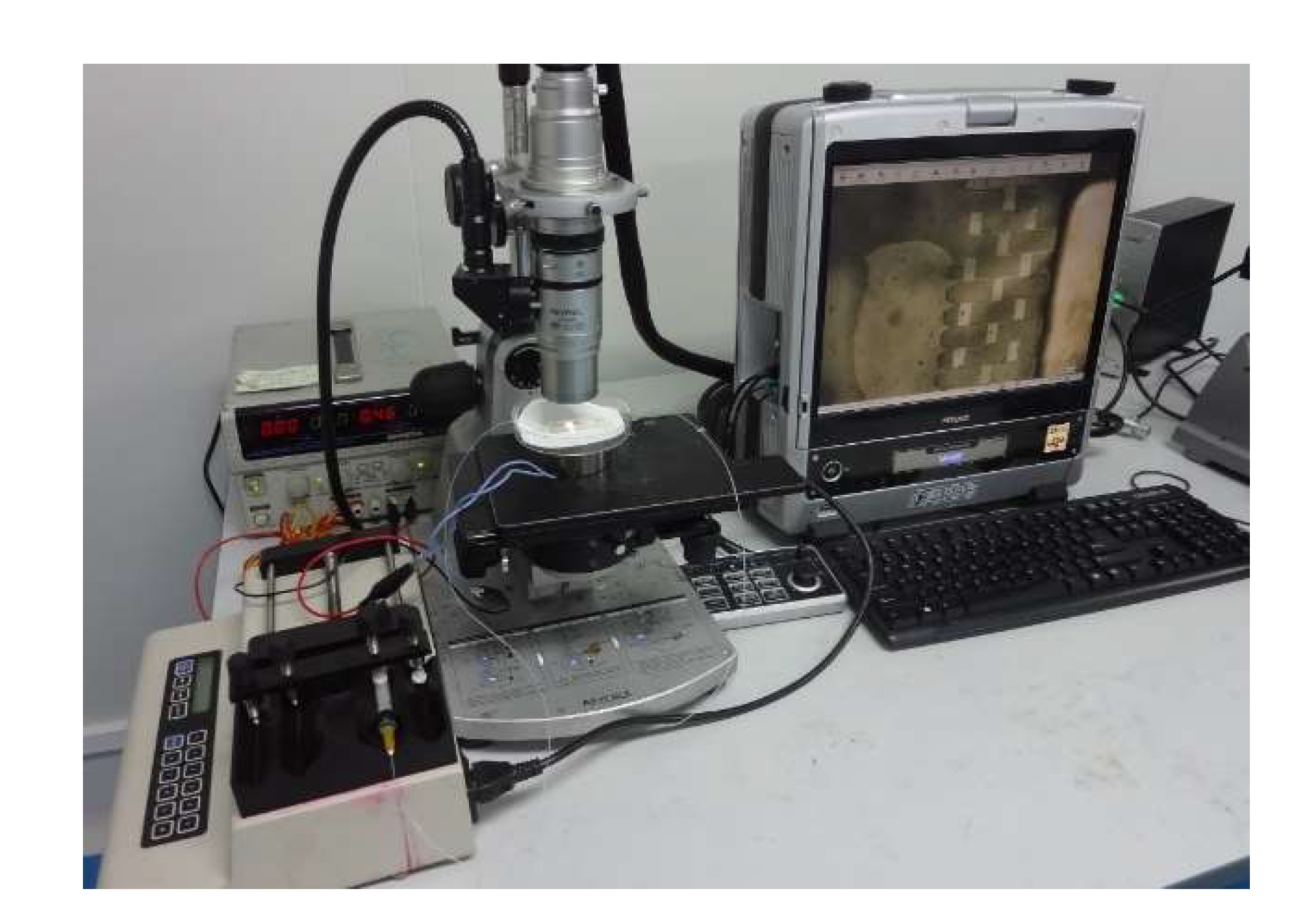 Micromachines 12 01218 g010