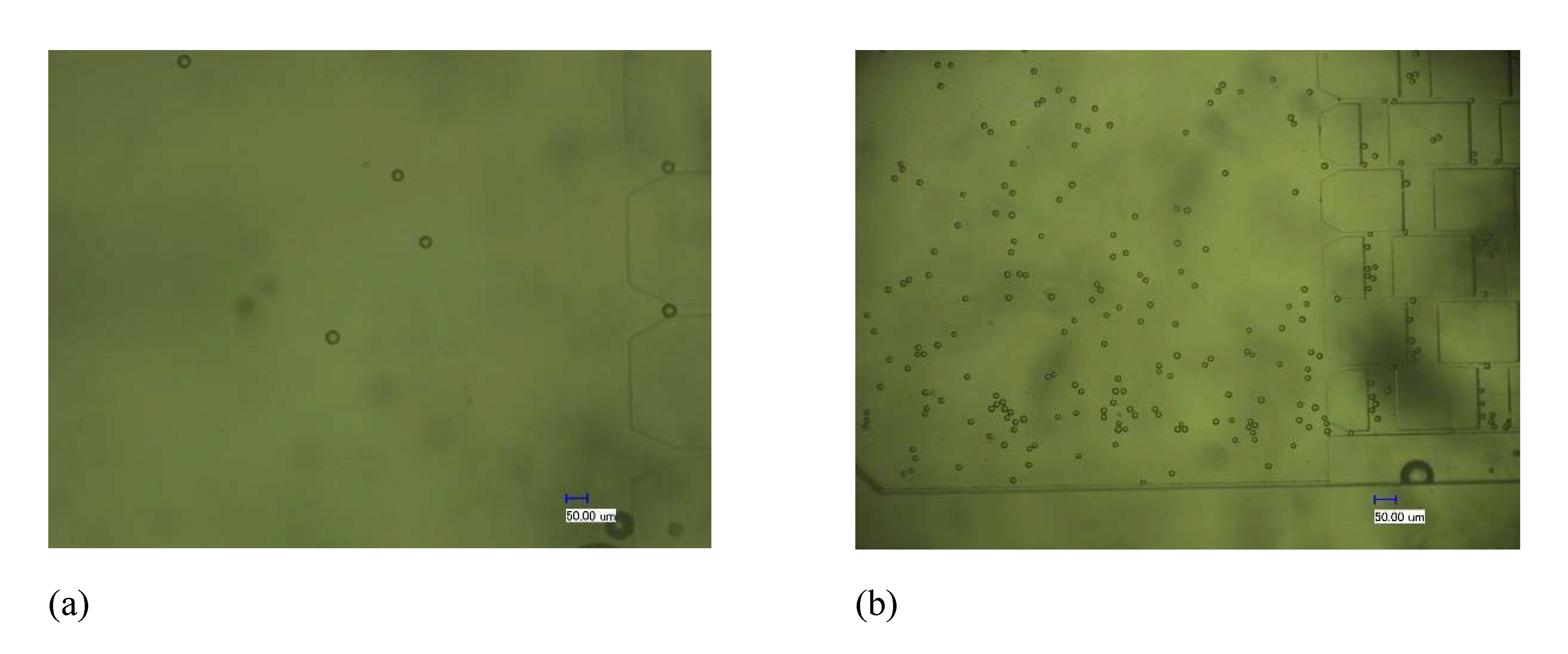 Micromachines 12 01218 g011a