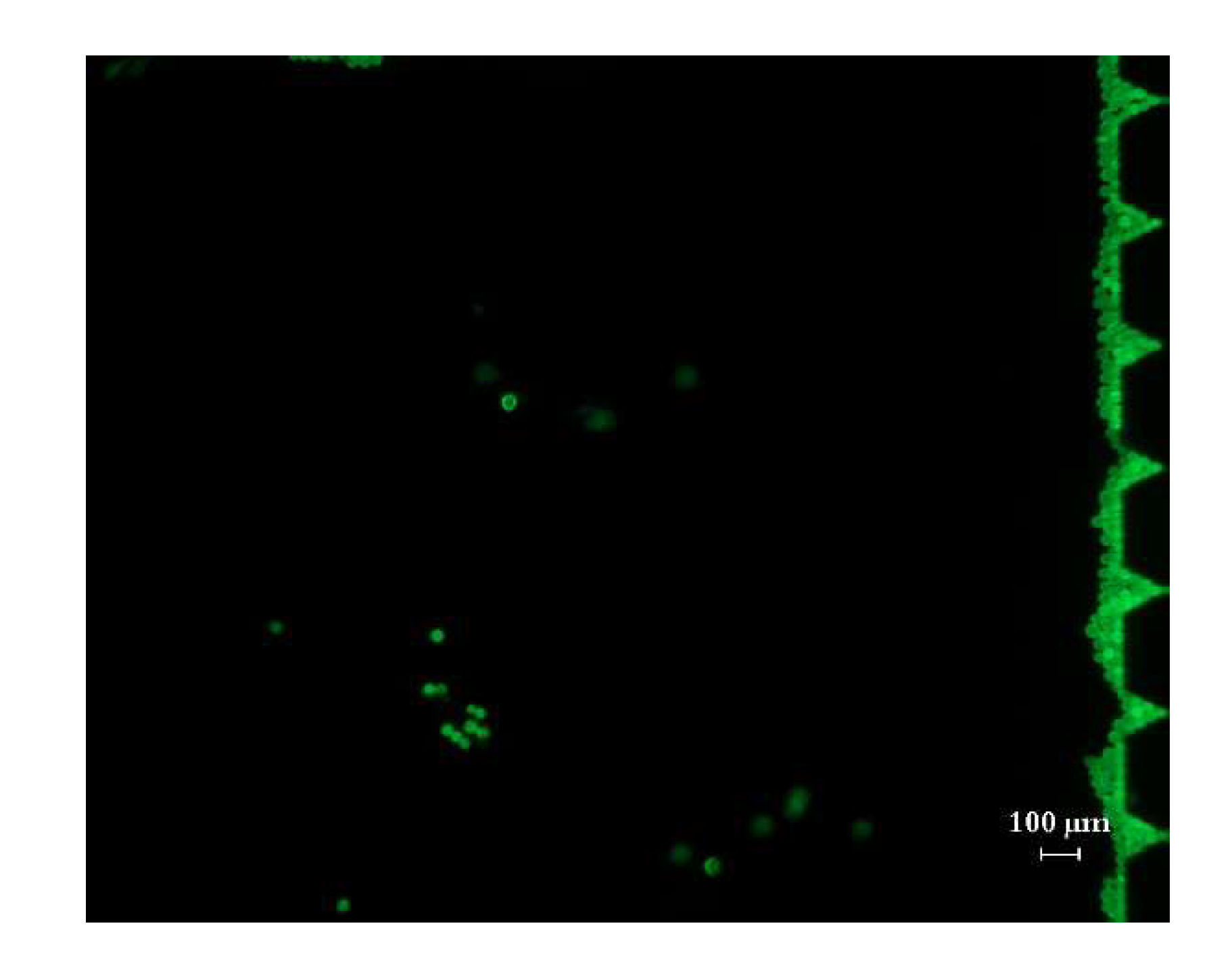 Micromachines 12 01218 g013