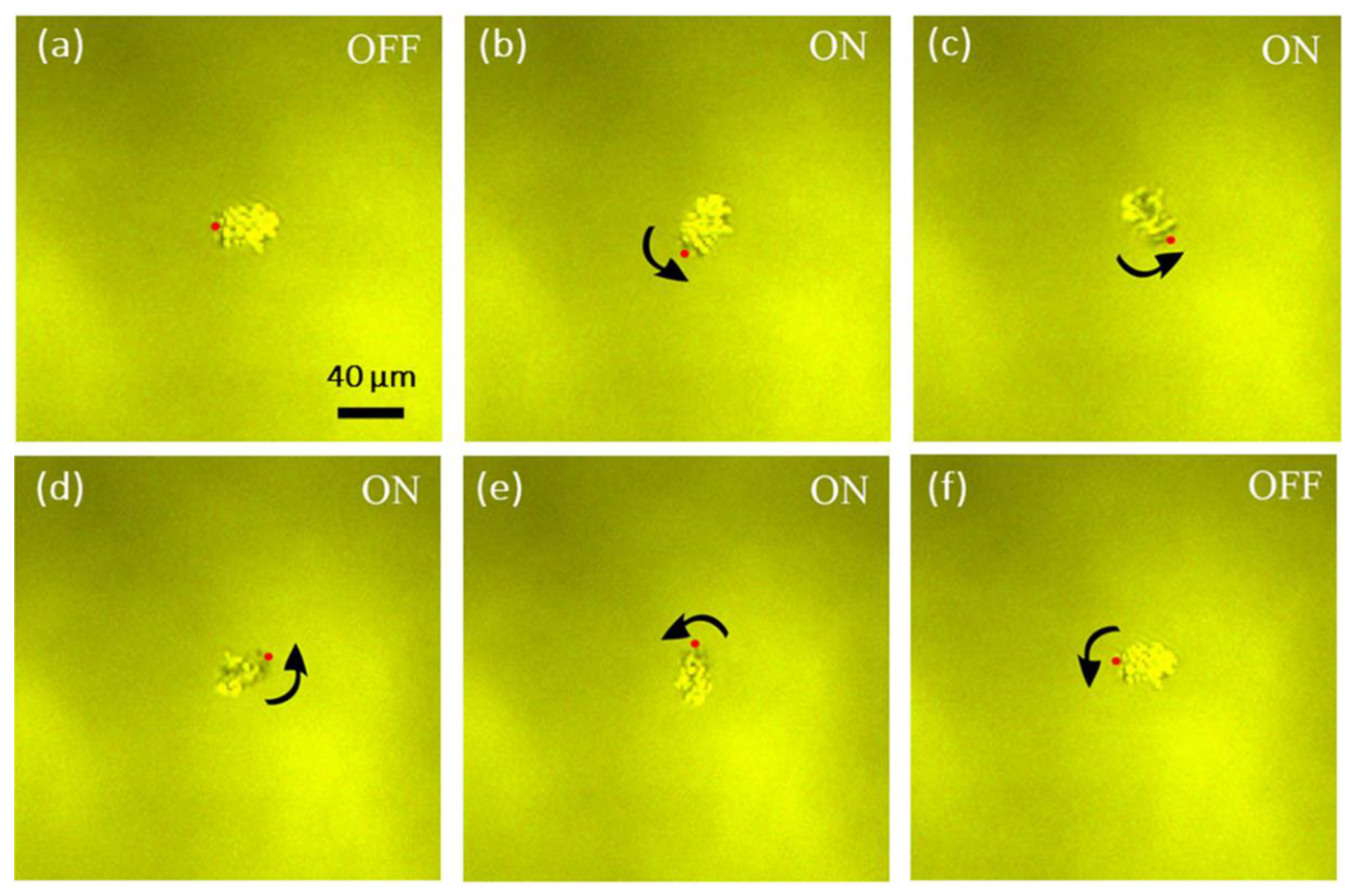 Micromachines 12 01228 g004 550
