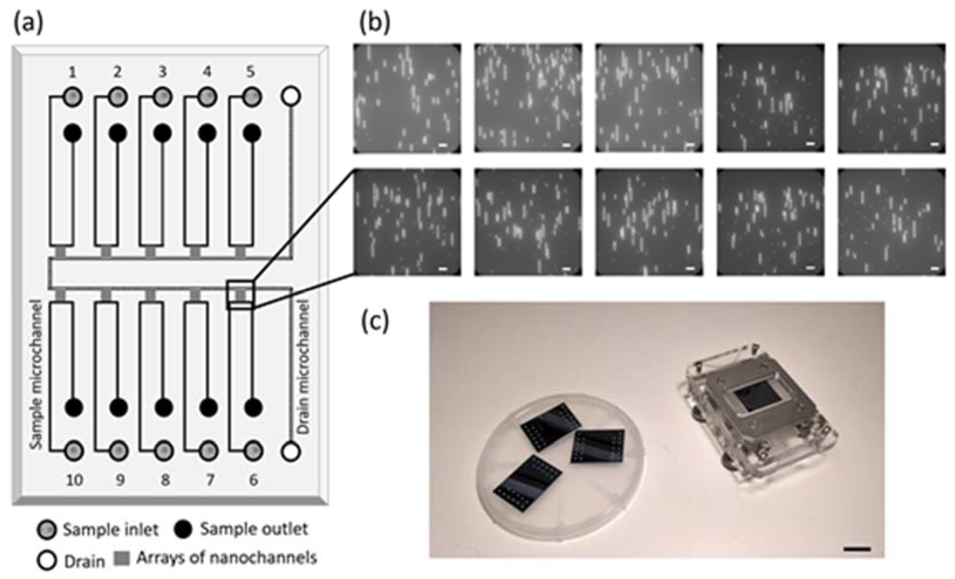 Micromachines 12 01234 g001