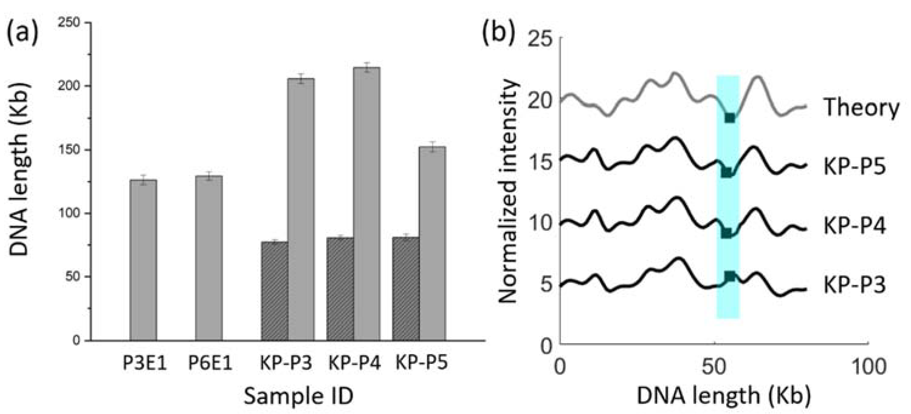 Micromachines 12 01234 g003