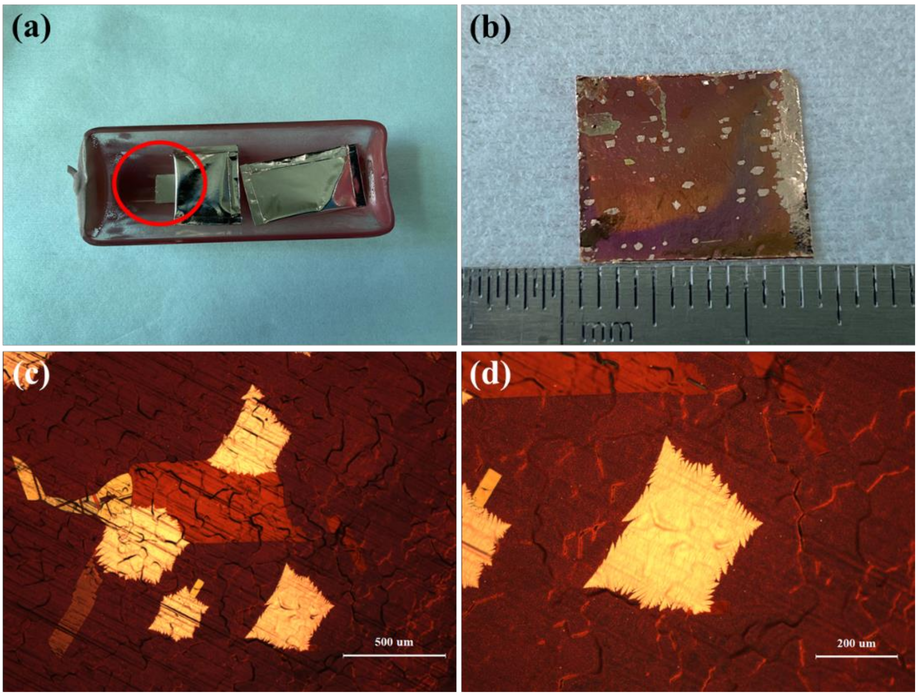 Micromachines 12 01236 g006 550