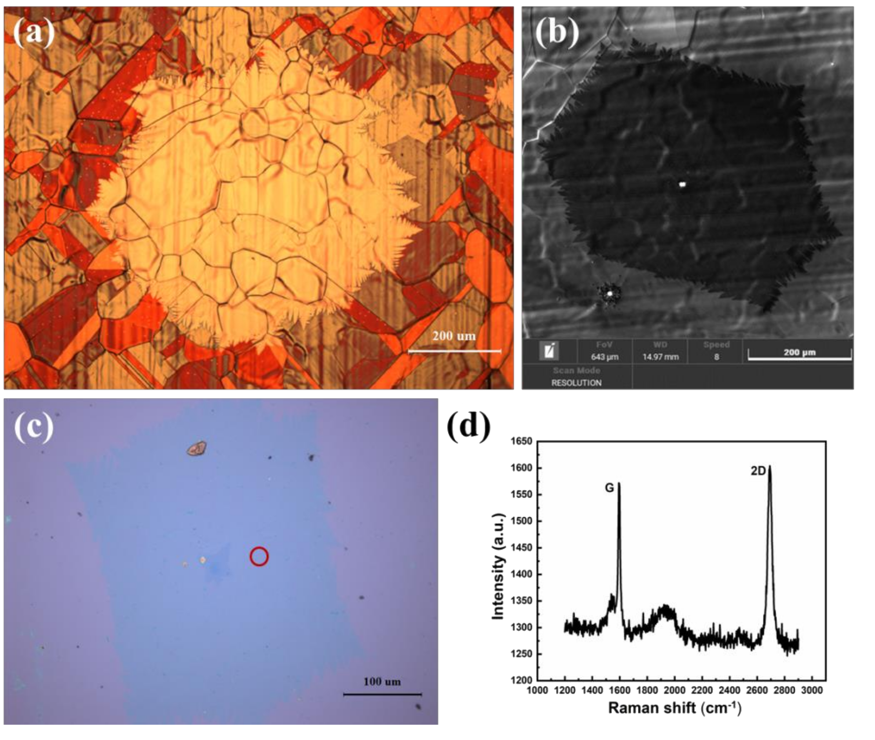 Micromachines 12 01236 g007 550
