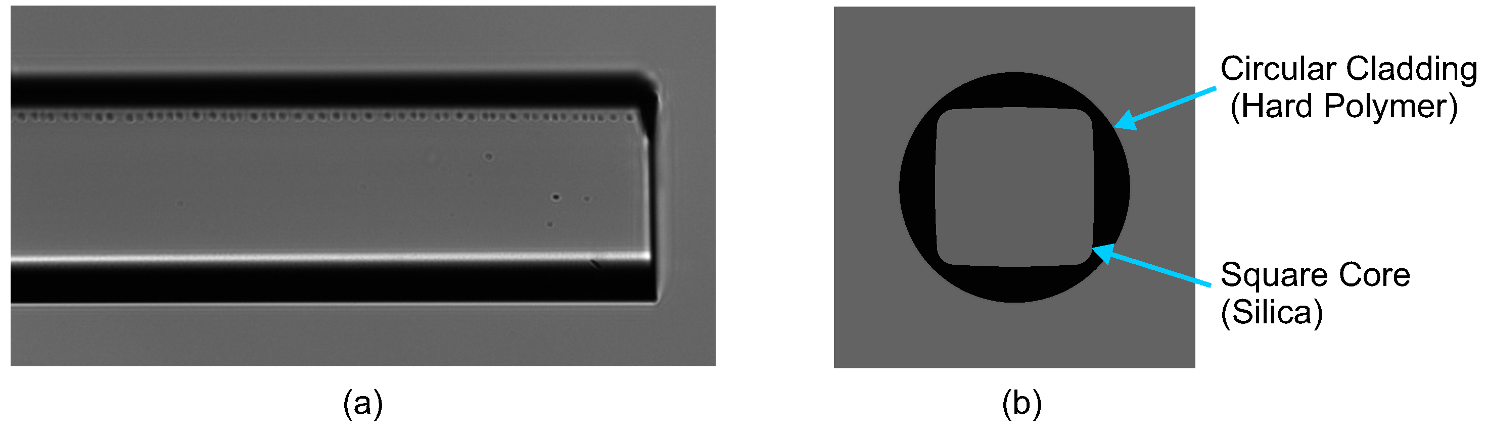 Micromachines 12 01239 g002 550