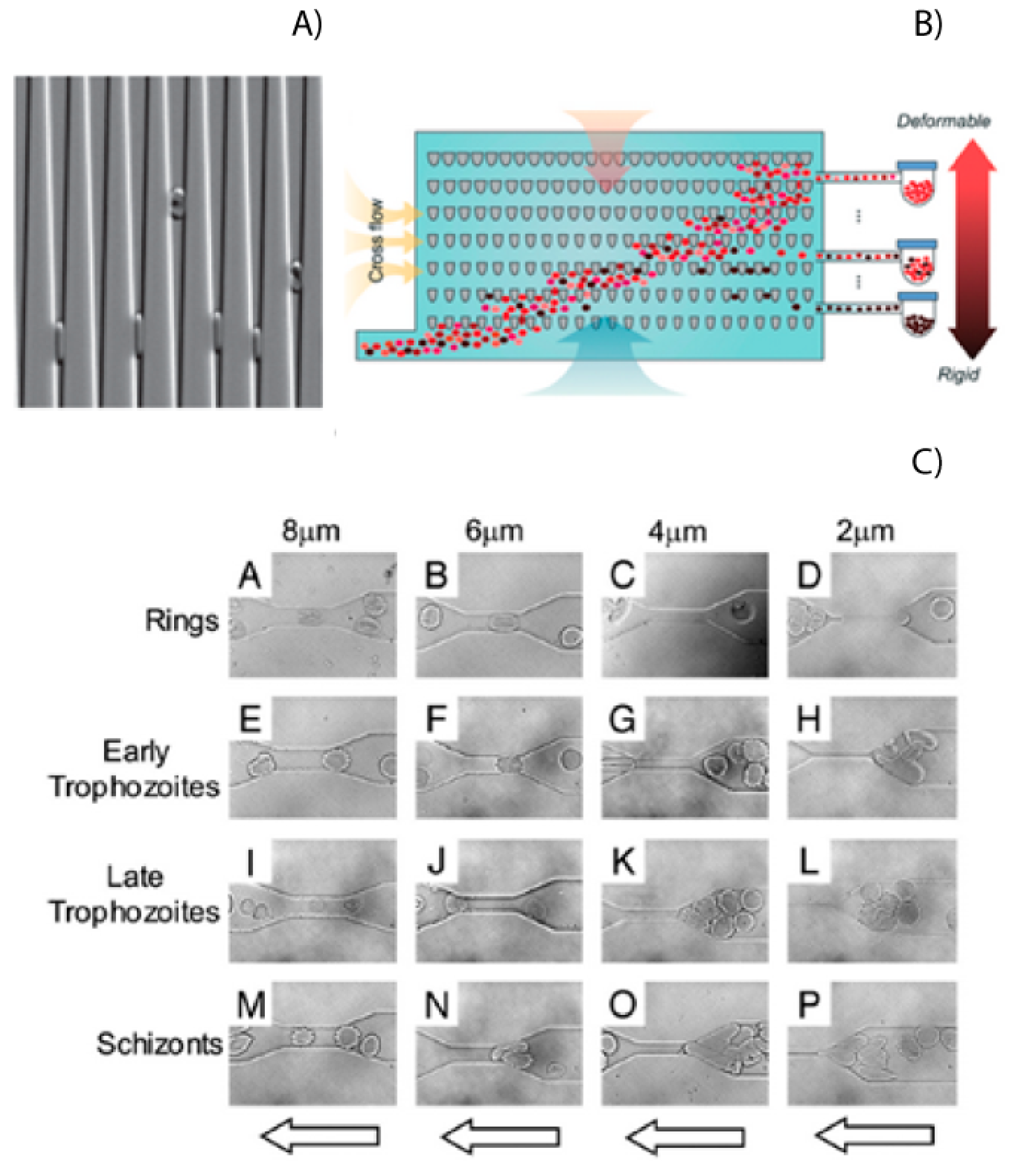 Micromachines 12 01245 g003 550
