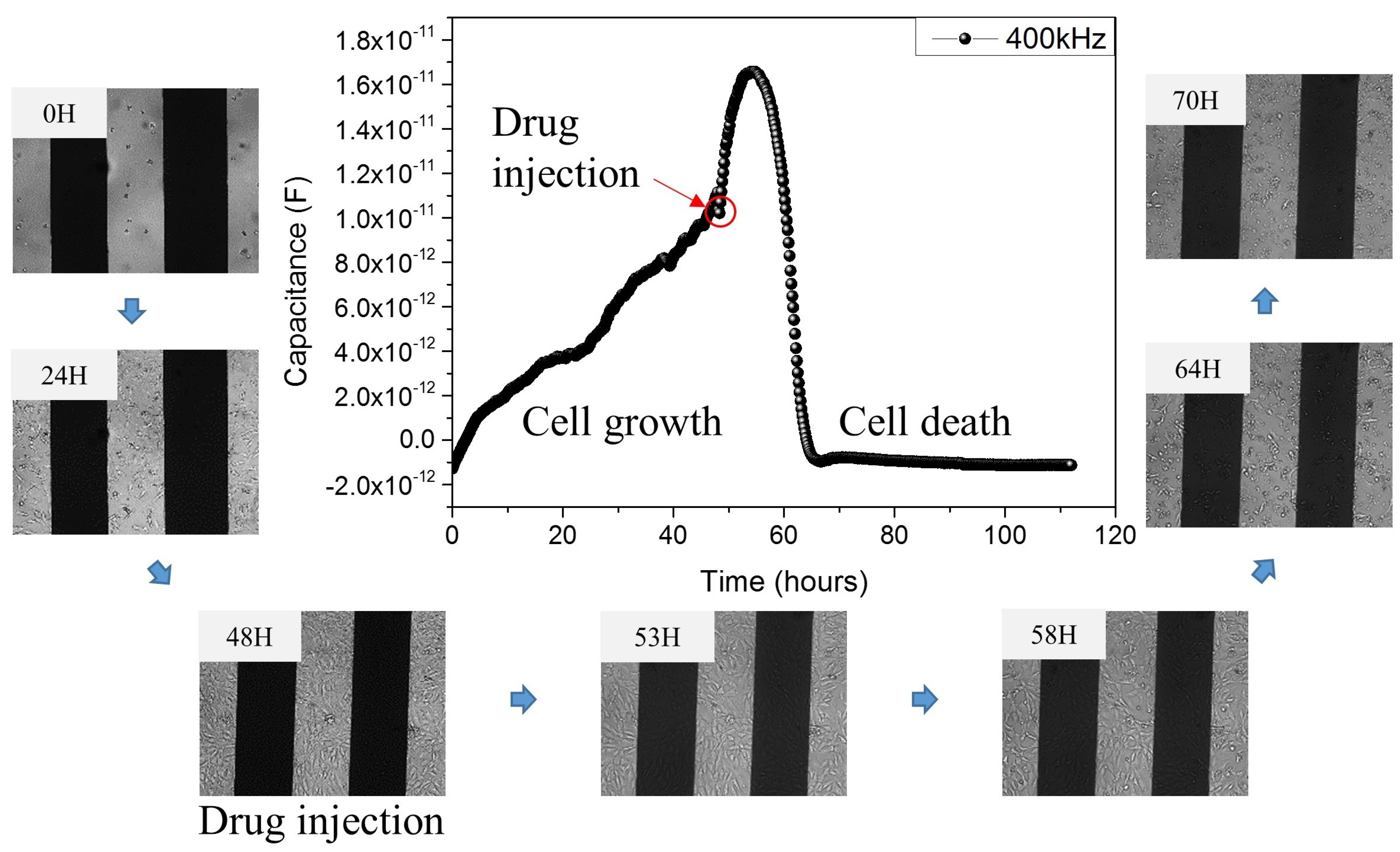 Micromachines 12 01248 g005 550