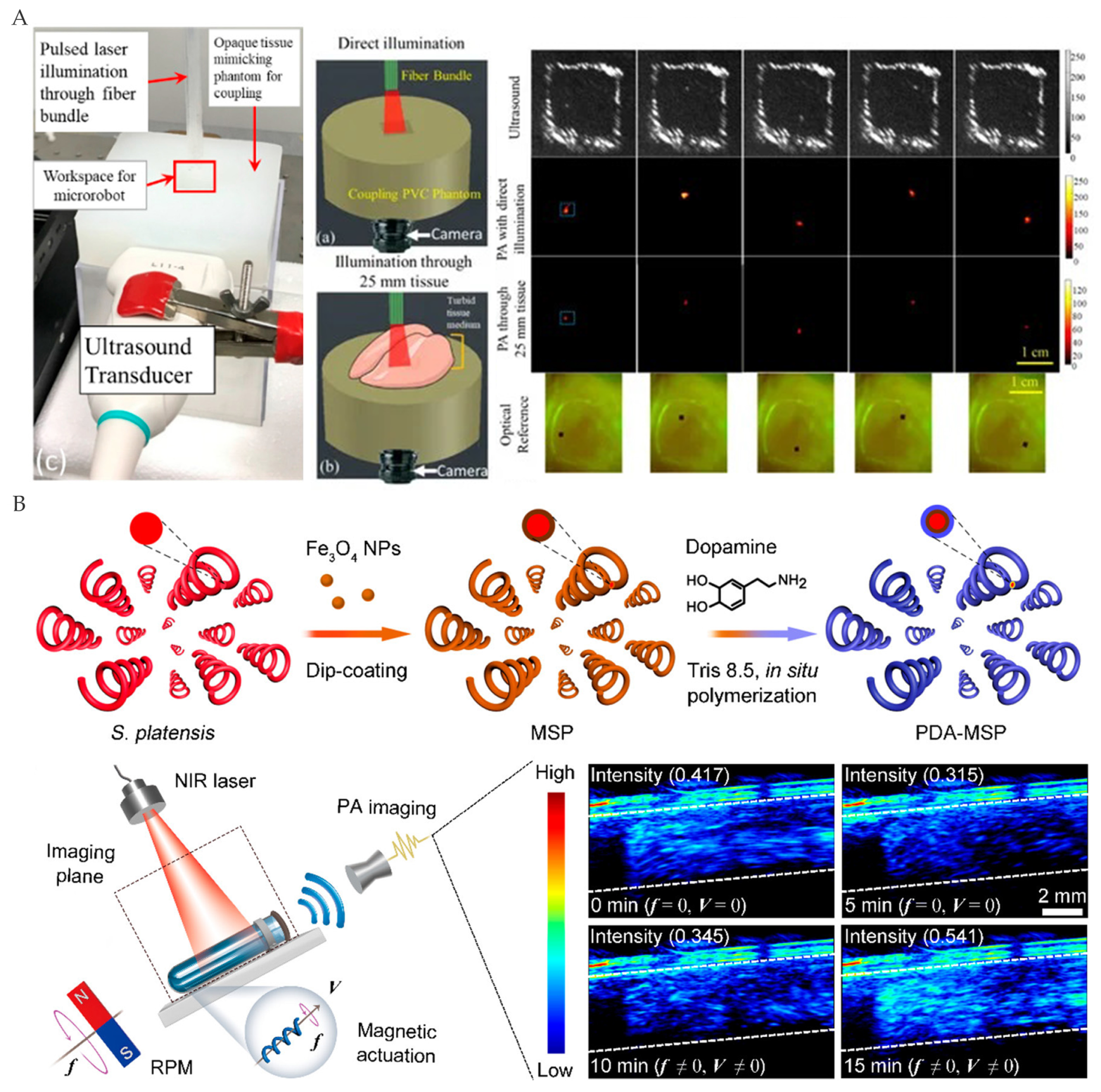Micromachines 12 01249 g011 550