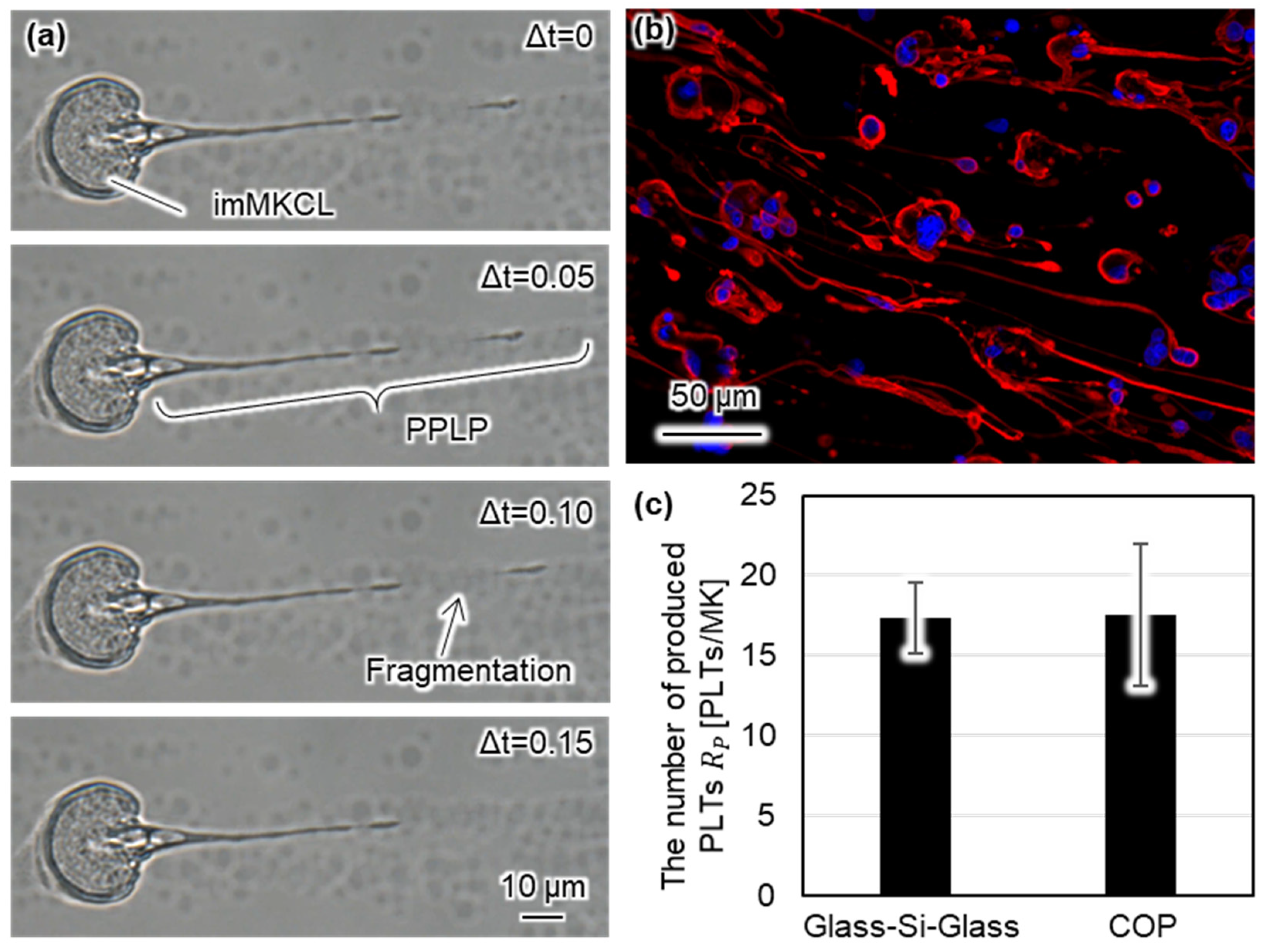 Micromachines 12 01253 g005 550