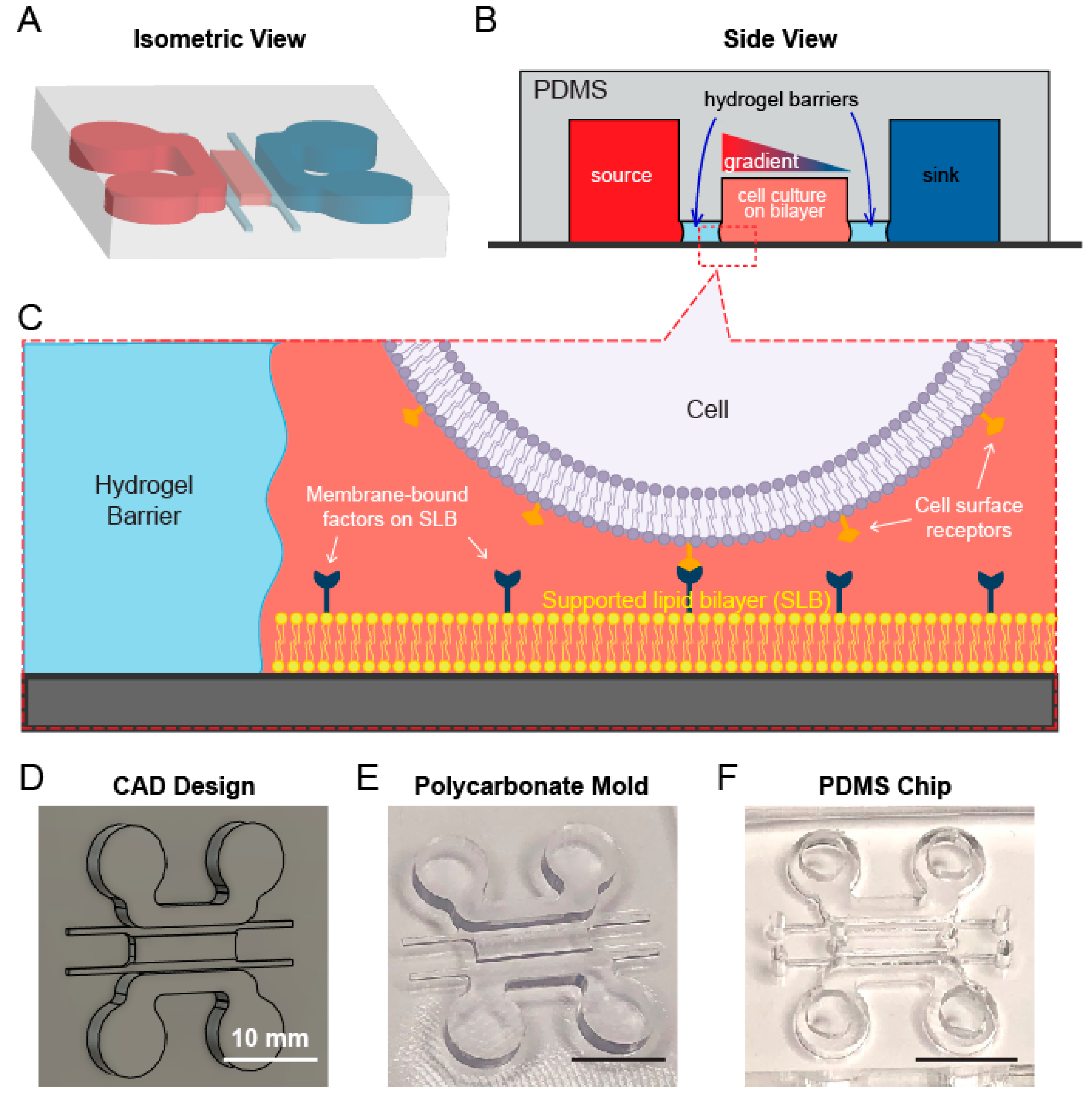 Micromachines 12 01254 g001