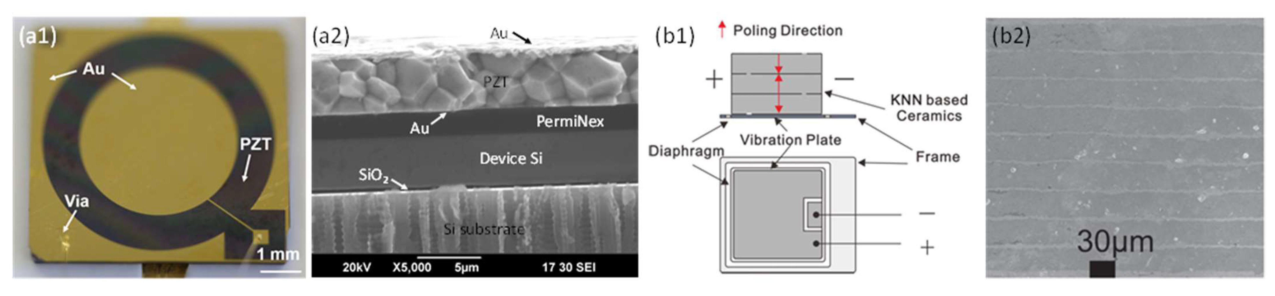 Micromachines 12 01257 g007