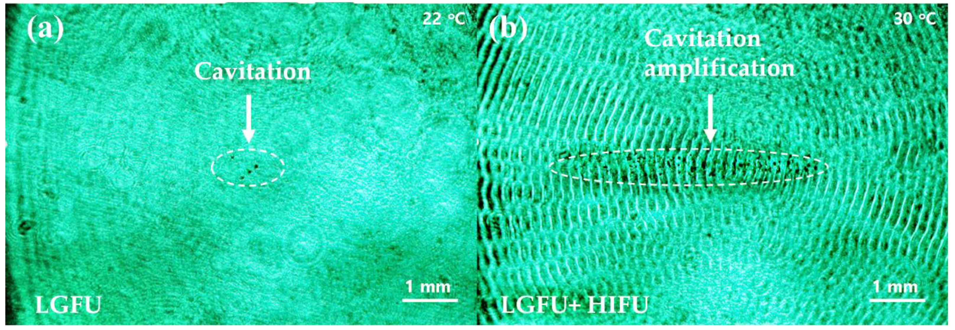 Micromachines 12 01268 g009 550