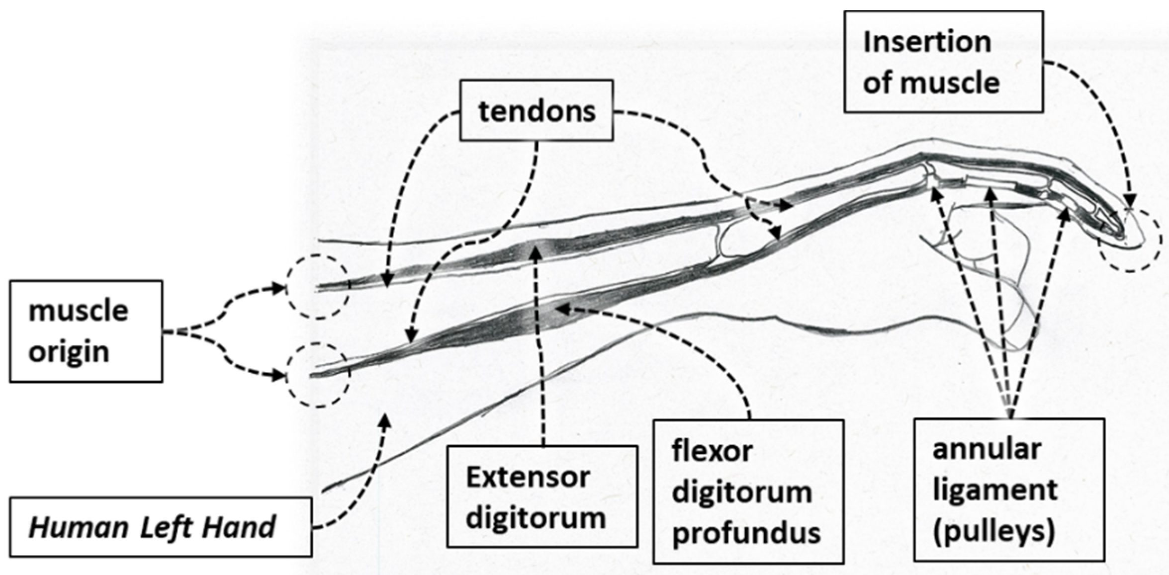 Micromachines 12 01274 g002 550