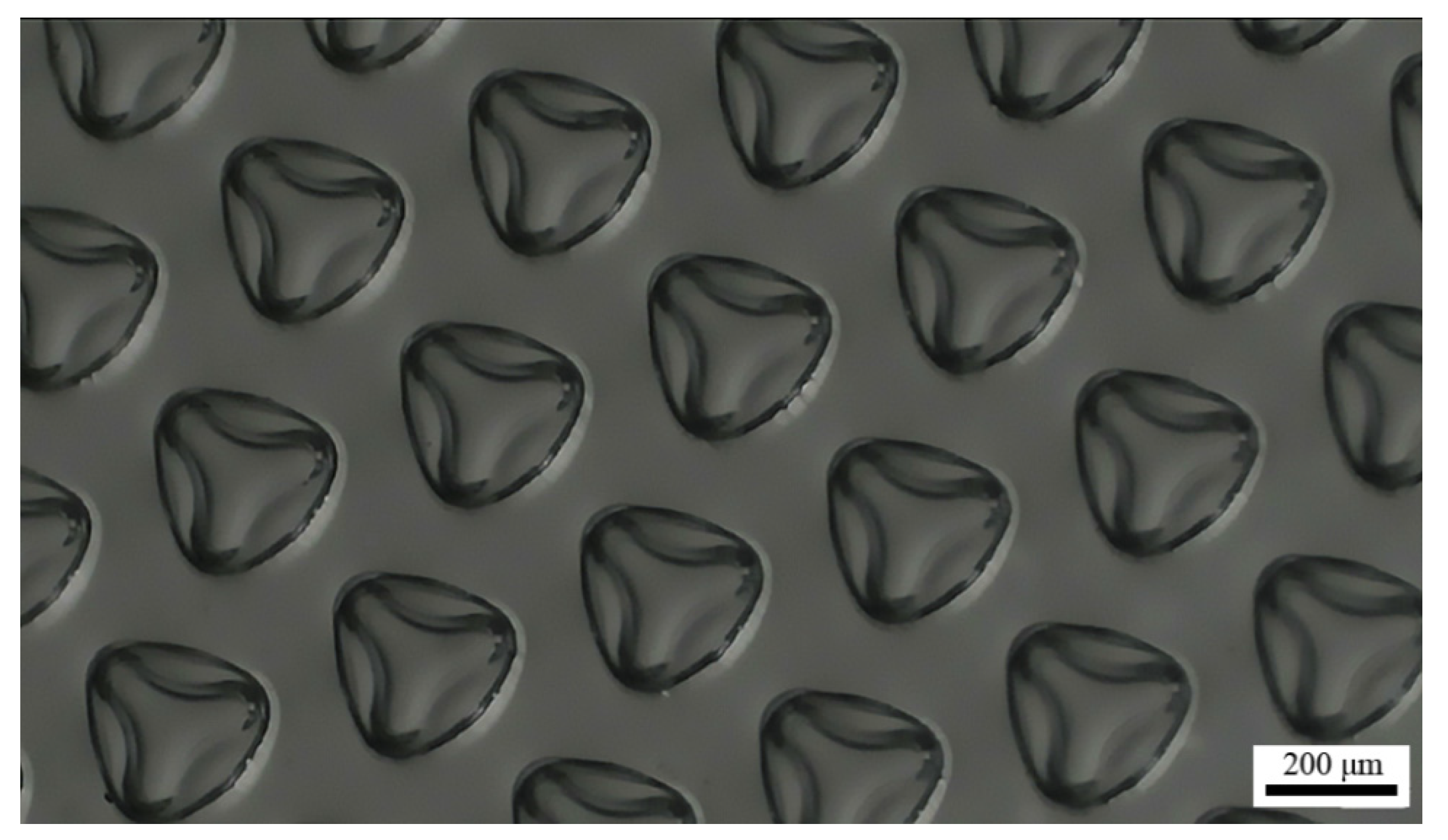 Micromachines 12 01281 g006 550