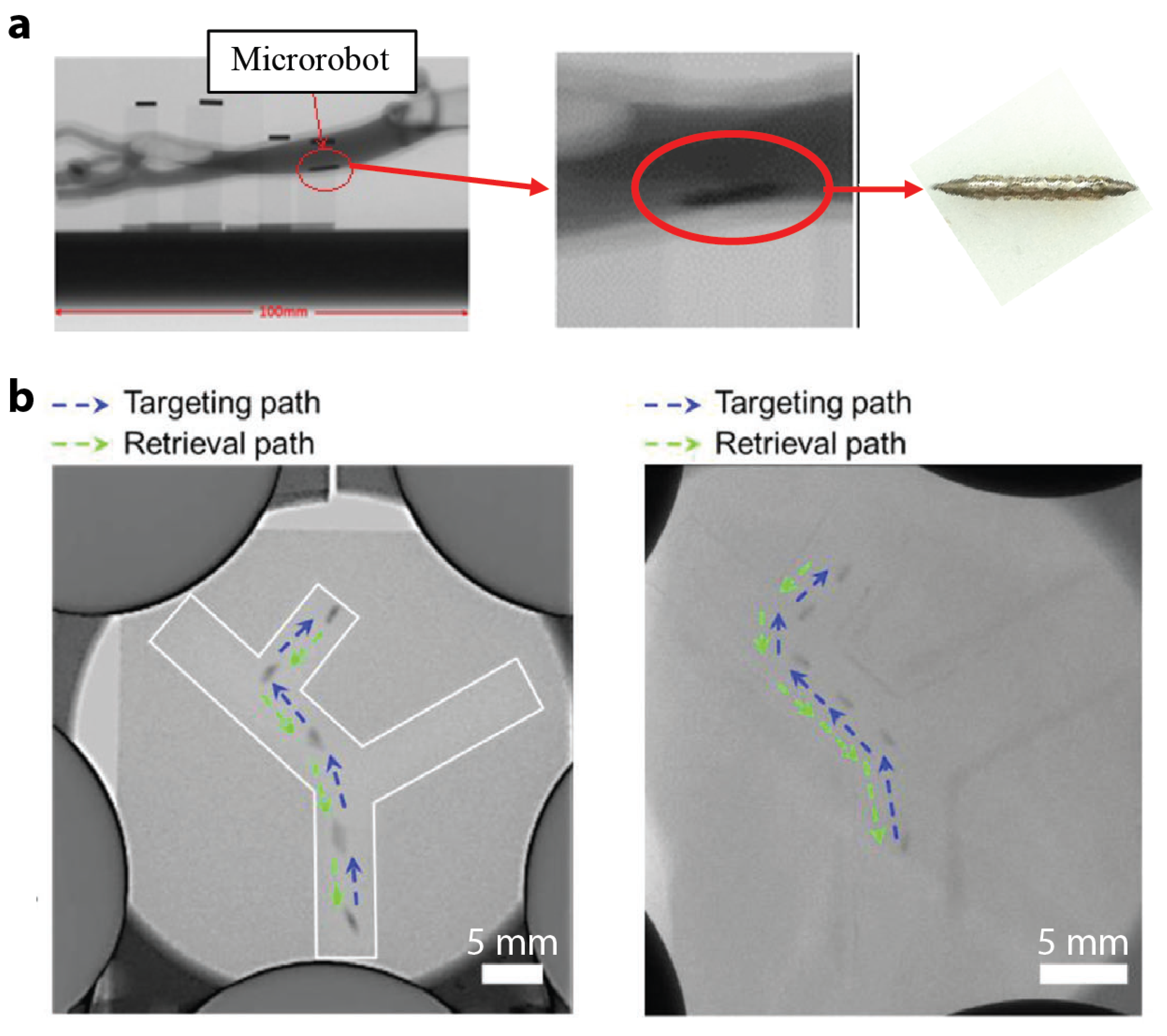 Micromachines 12 01310 g005