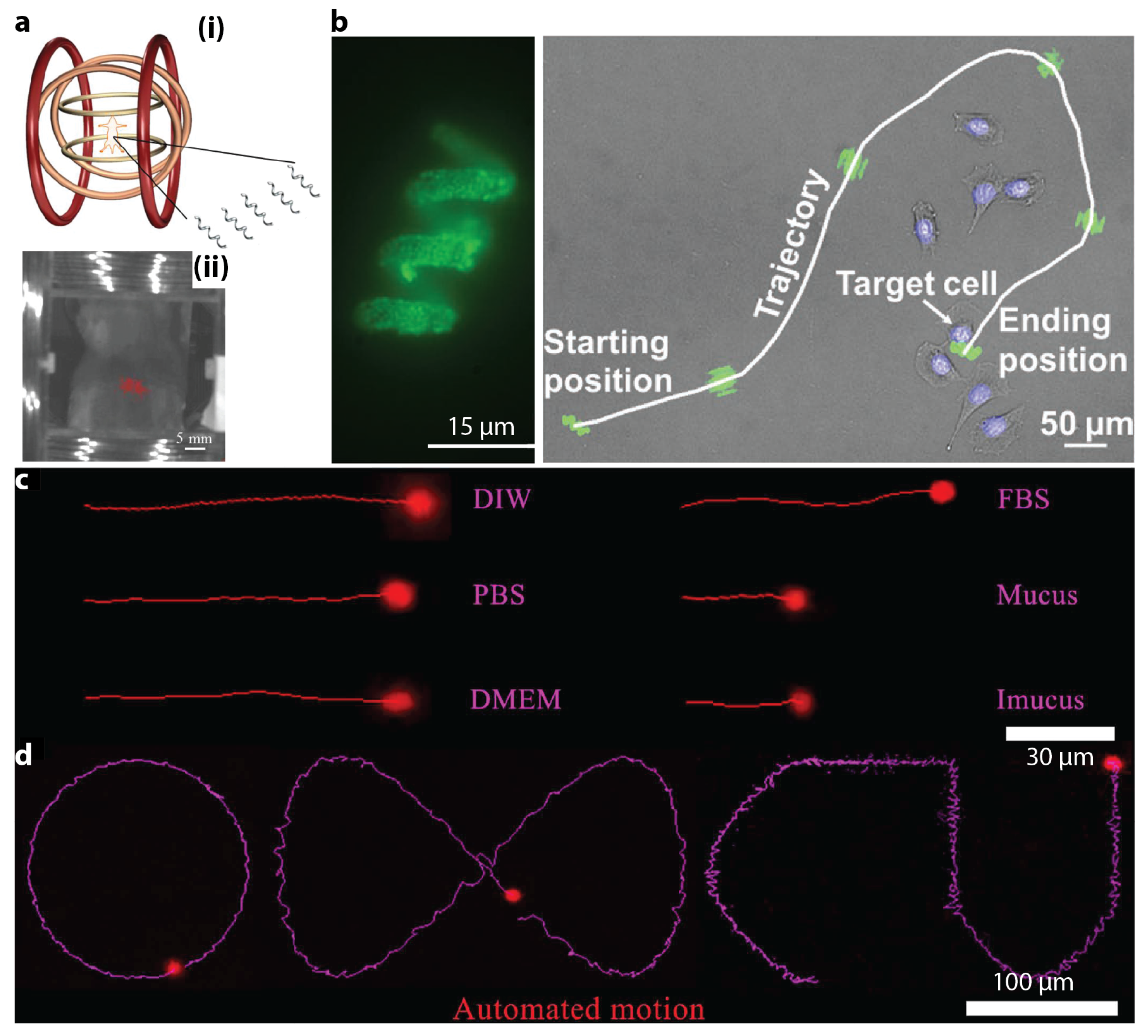Micromachines 12 01310 g006