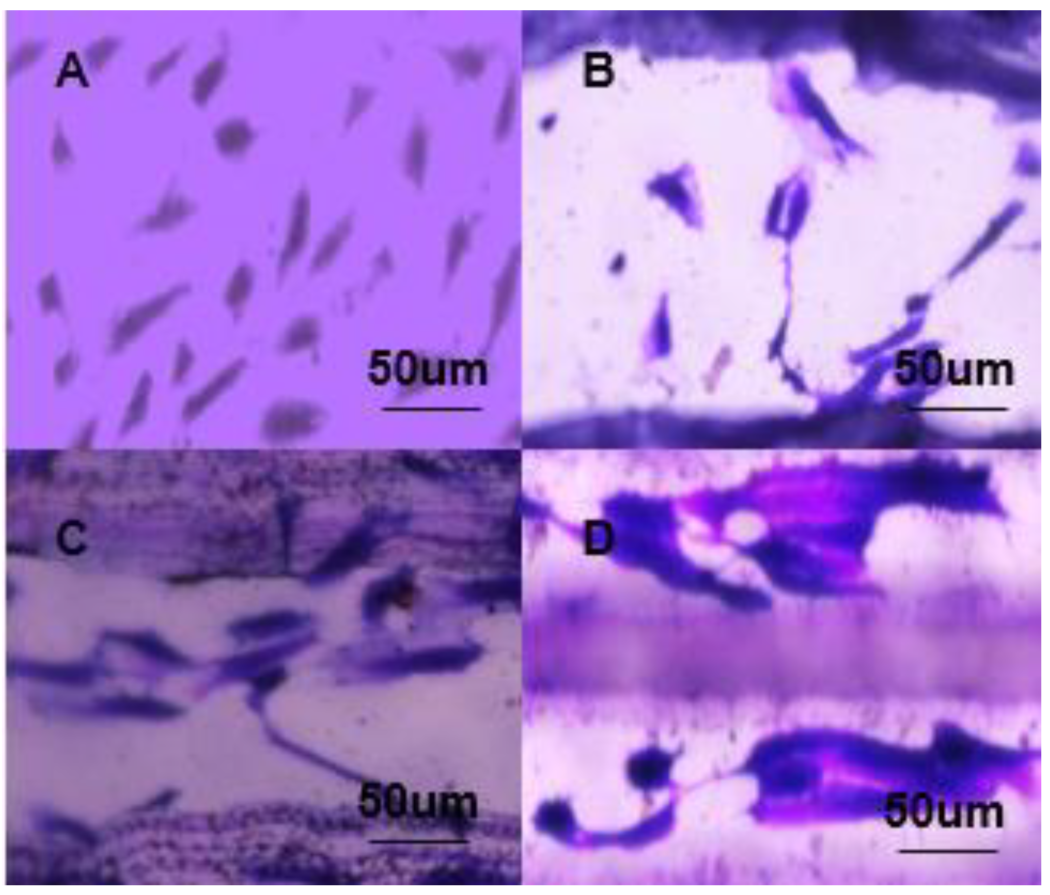 Micromachines 12 01312 g006