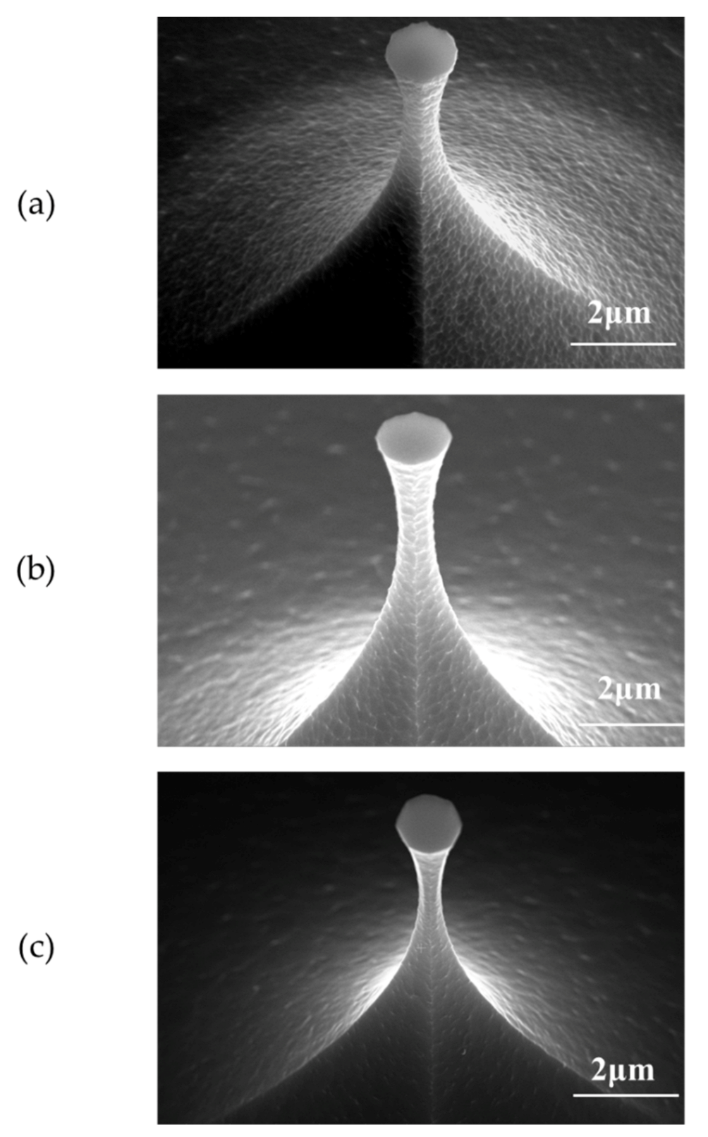 Micromachines 12 01326 g002 Micromachines 12 01326 g002