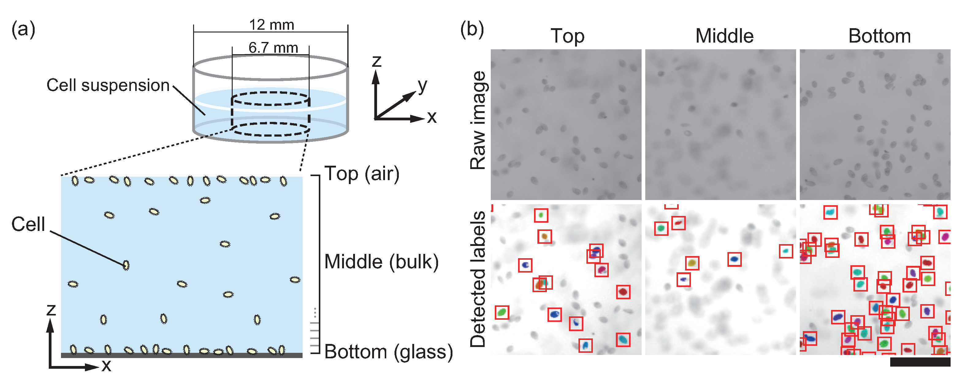 Micromachines 12 01339 g001 550