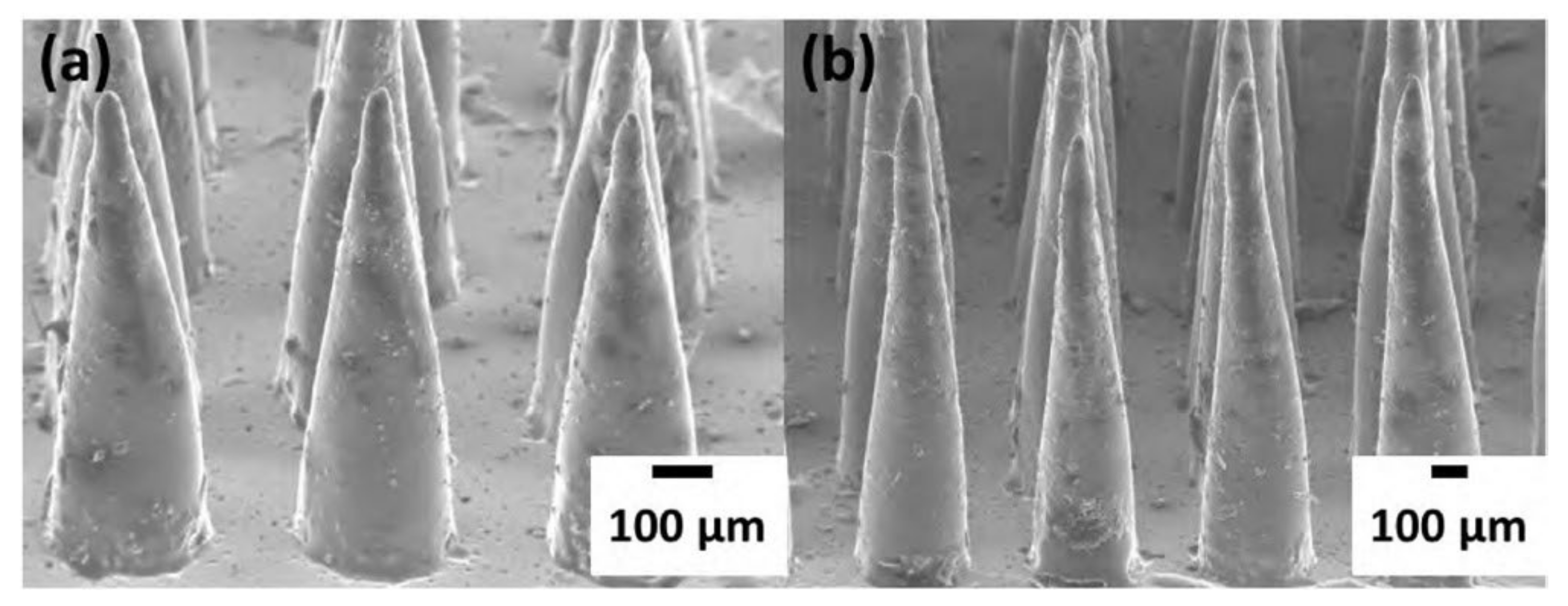 Micromachines 12 01350 g008