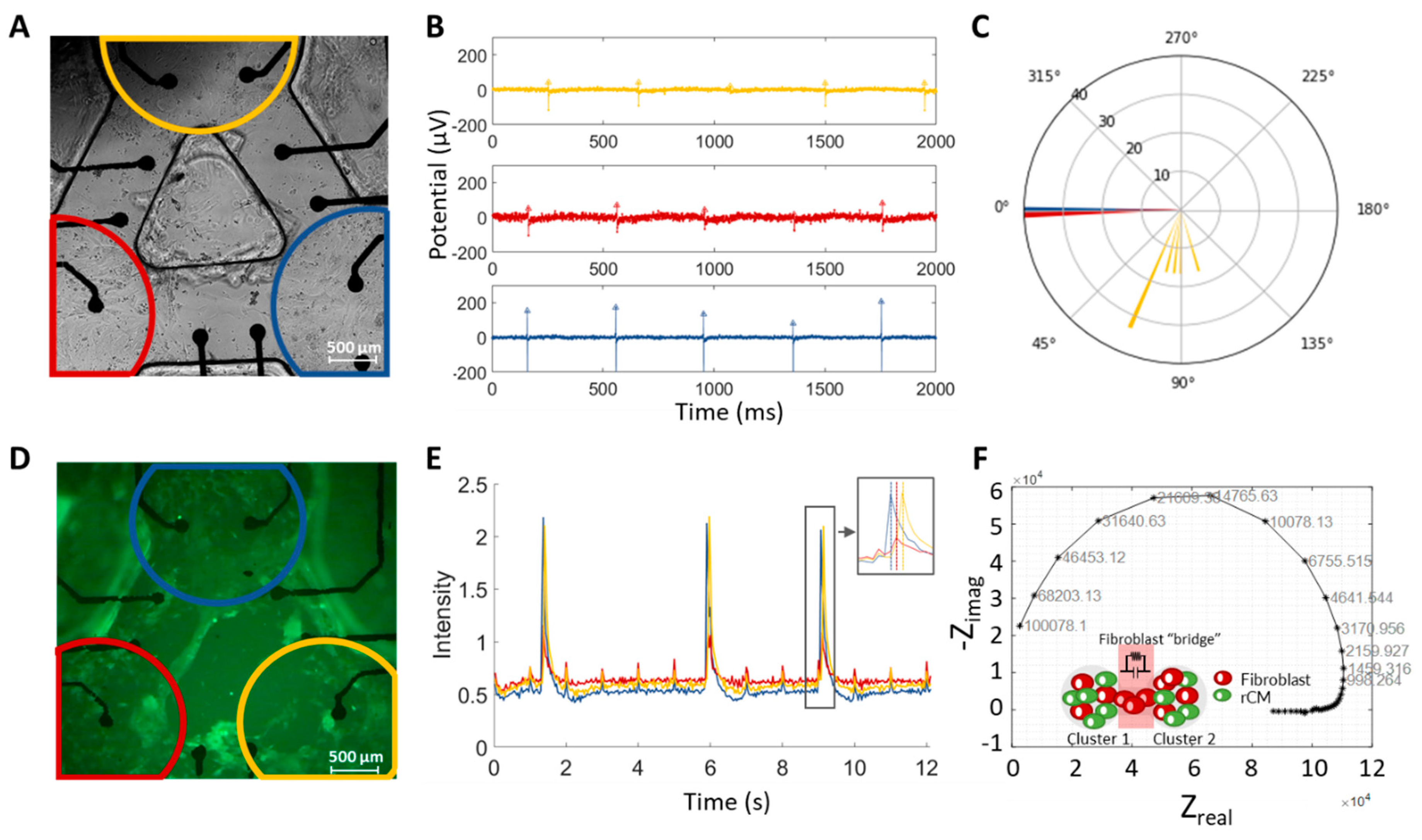 Micromachines 12 01351 g003 Micromachines 12 01351 g003