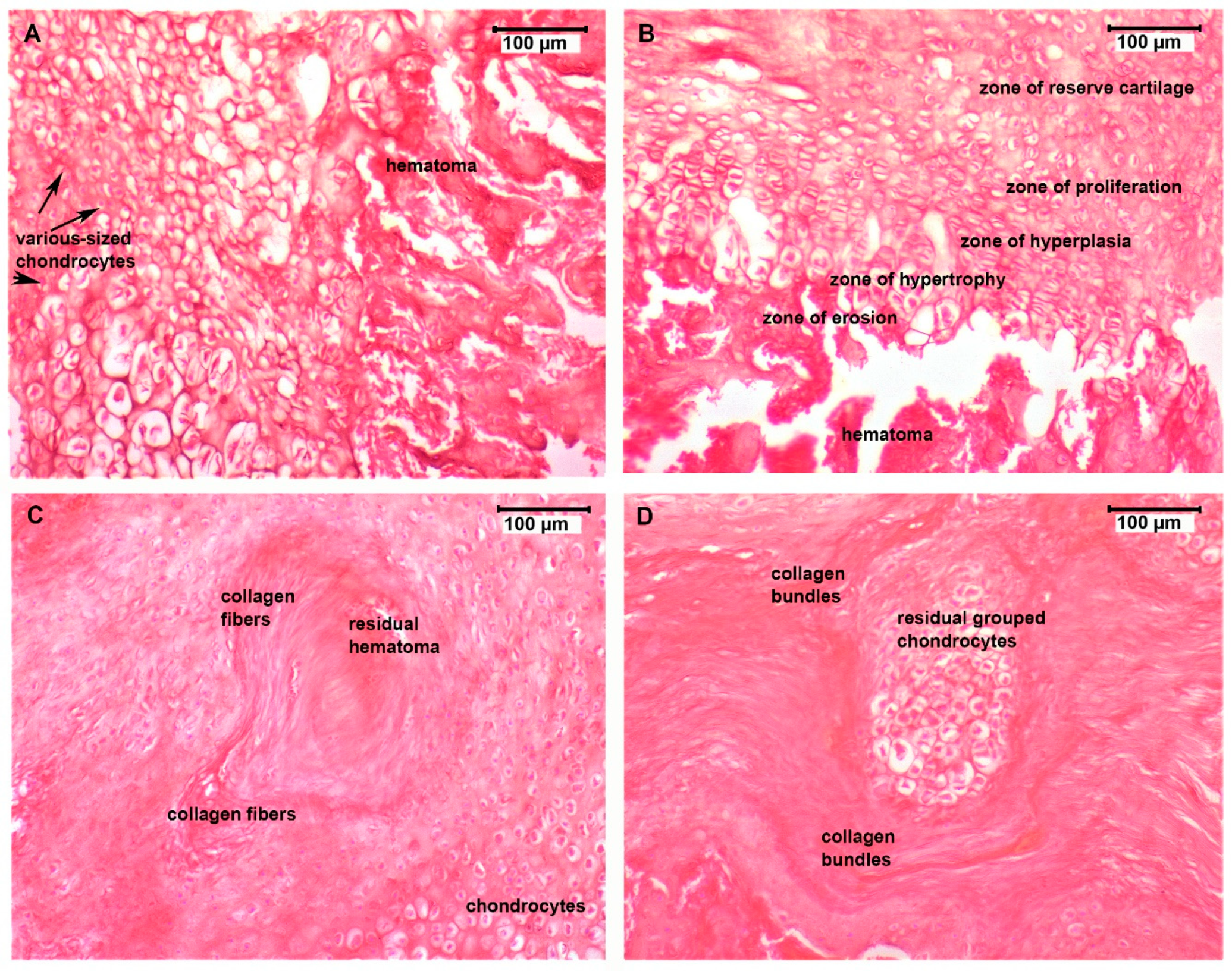 Micromachines 12 01352 g004 550