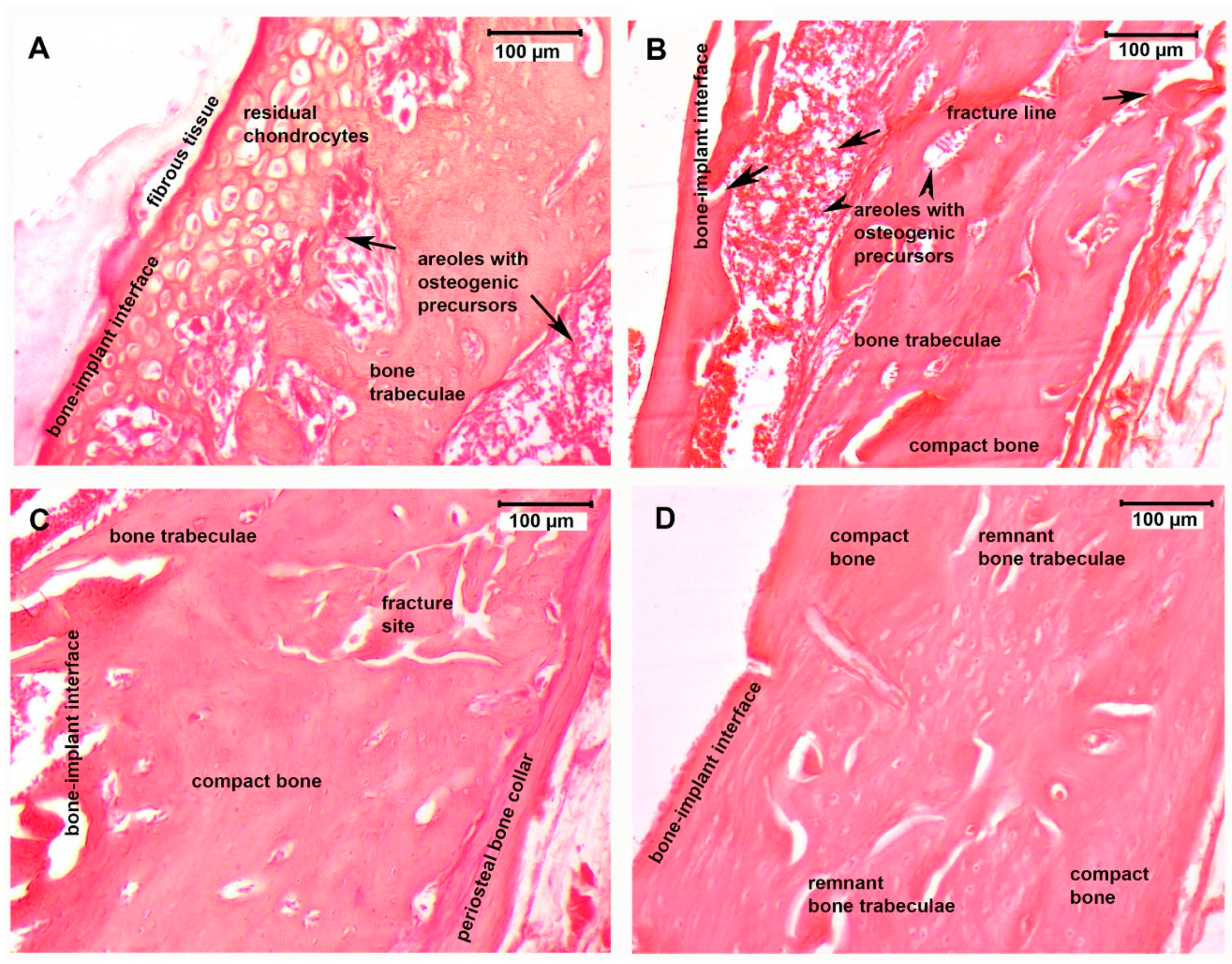 Micromachines 12 01352 g005 550