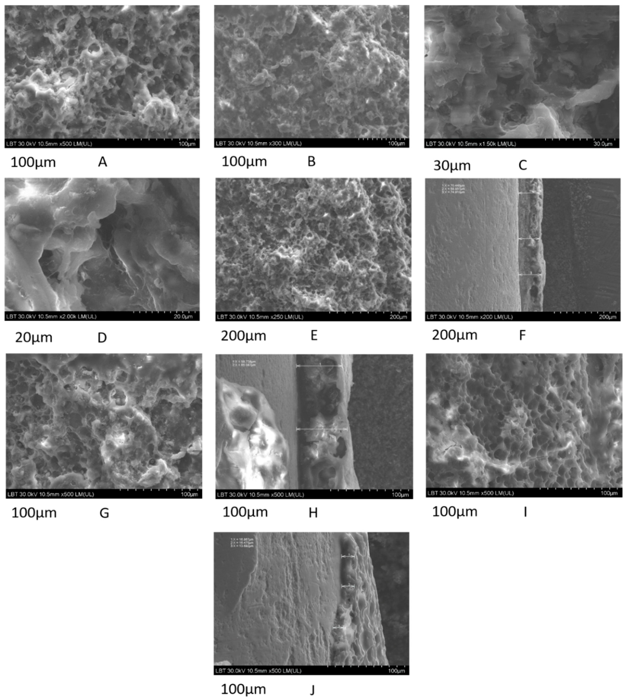 Micromachines 12 01352 g006 550