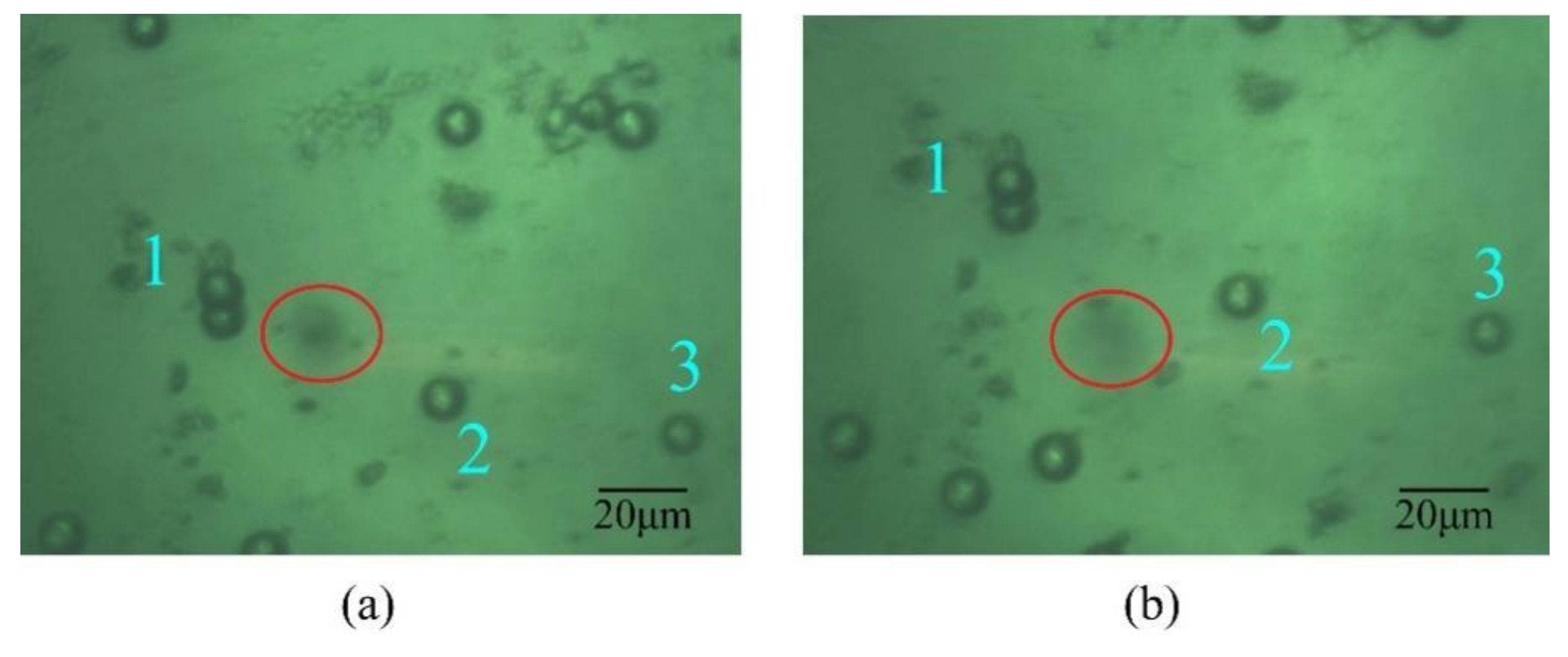 Micromachines 12 01375 g007 550