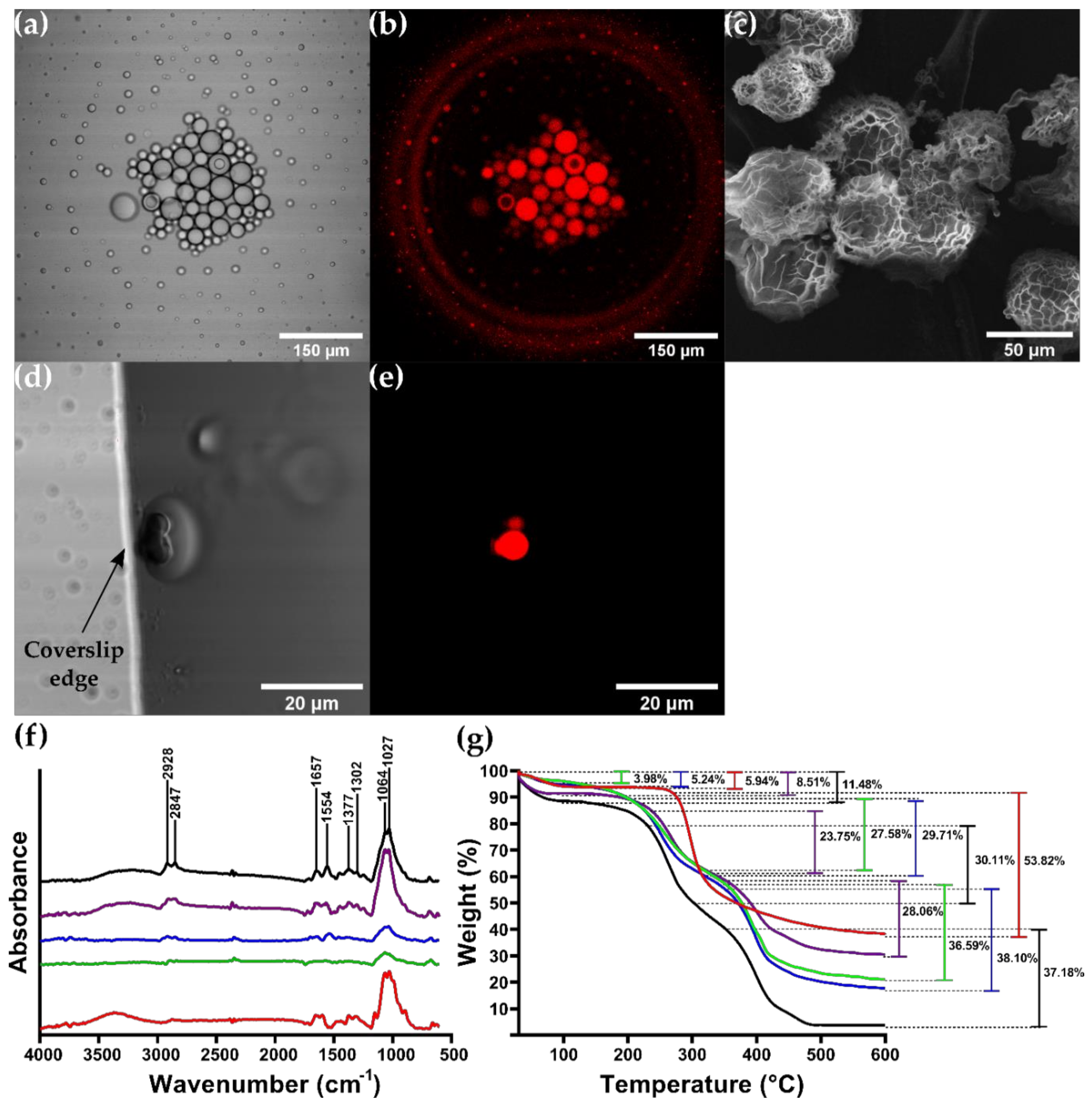 Micromachines 12 01377 g007 Micromachines 12 01377 g007