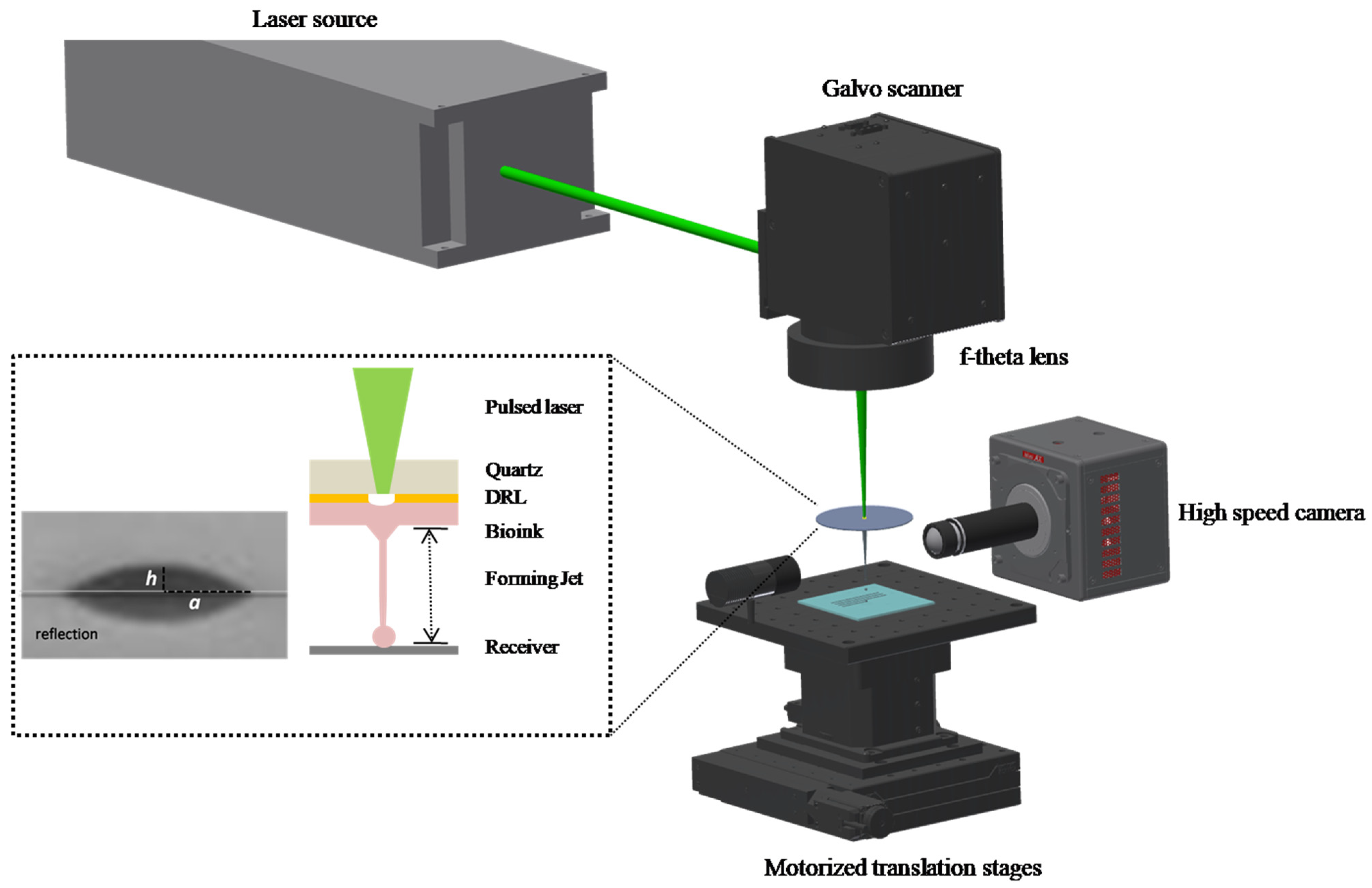 Micromachines 12 01408 g001