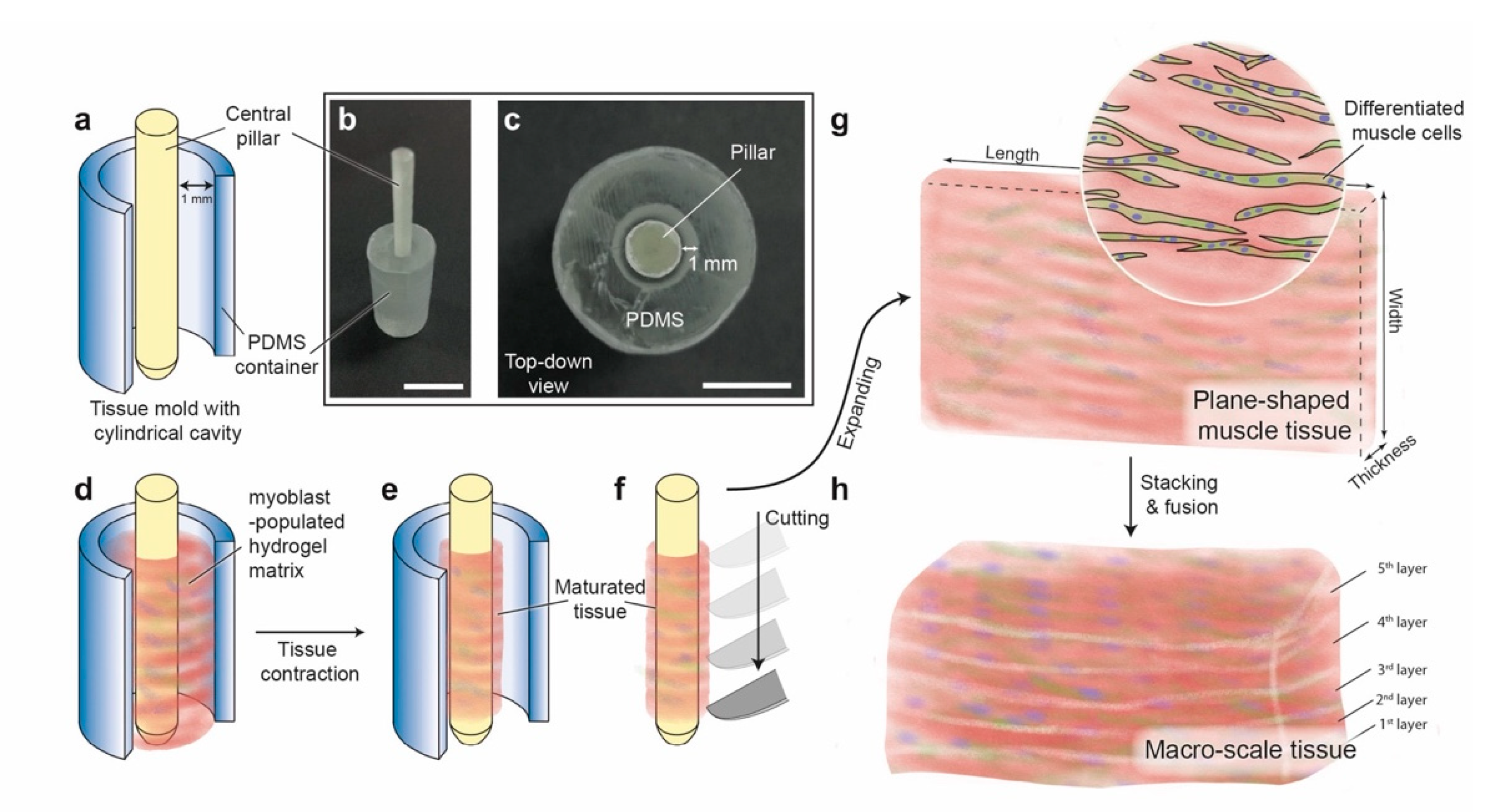 Micromachines 12 01411 g001