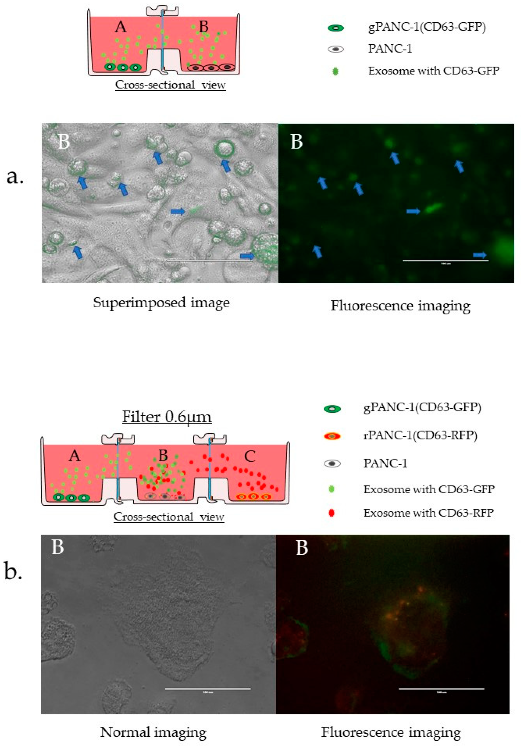 Micromachines 12 01431 g008 550