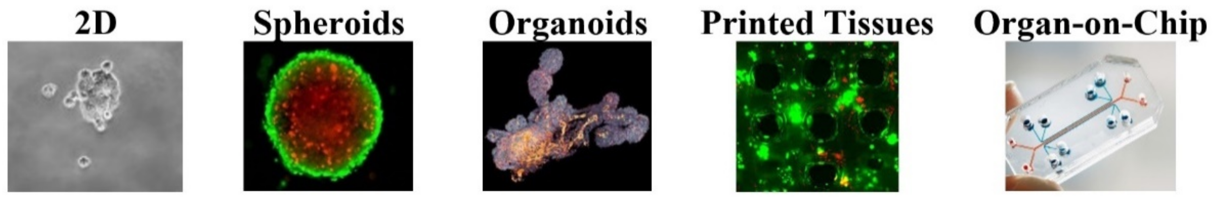 Micromachines 12 01443 g001 Micromachines 12 01443 g001