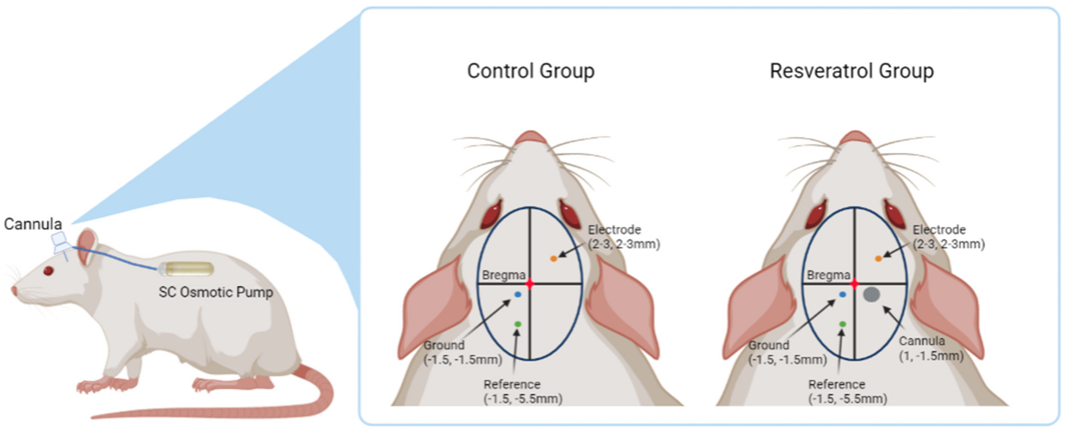 Micromachines 12 01446 g001 550