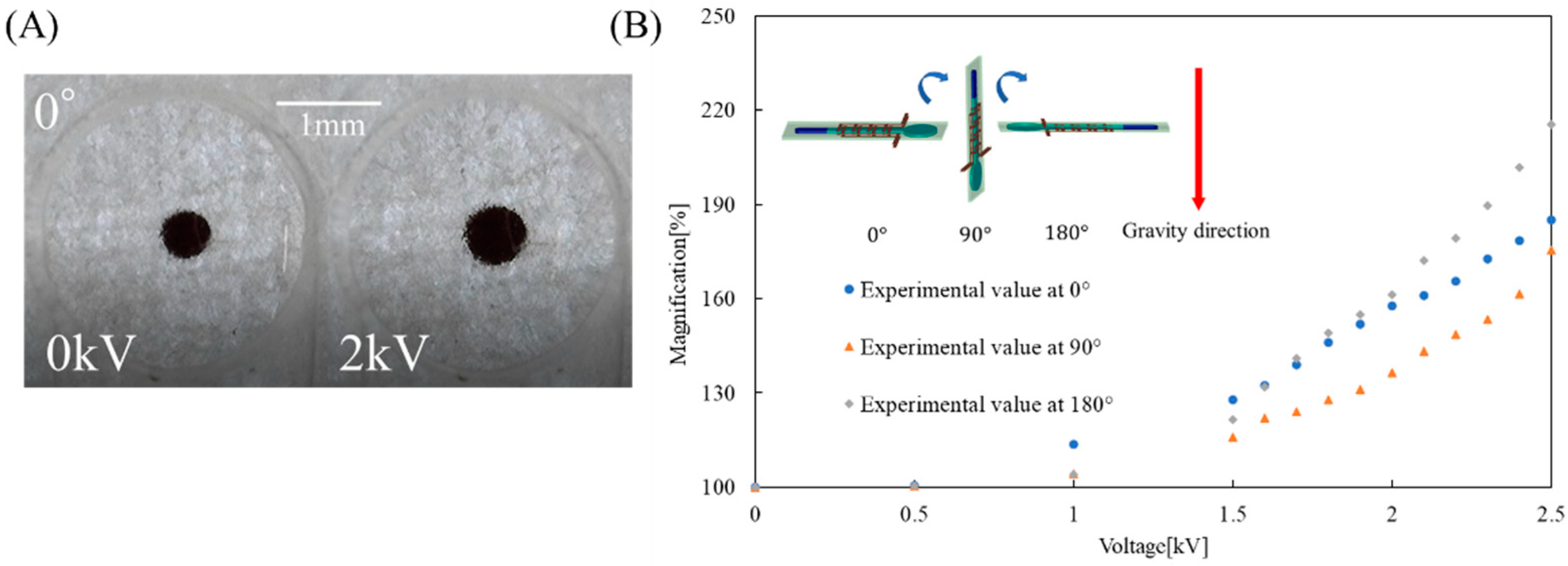 Micromachines 12 01452 g006 550