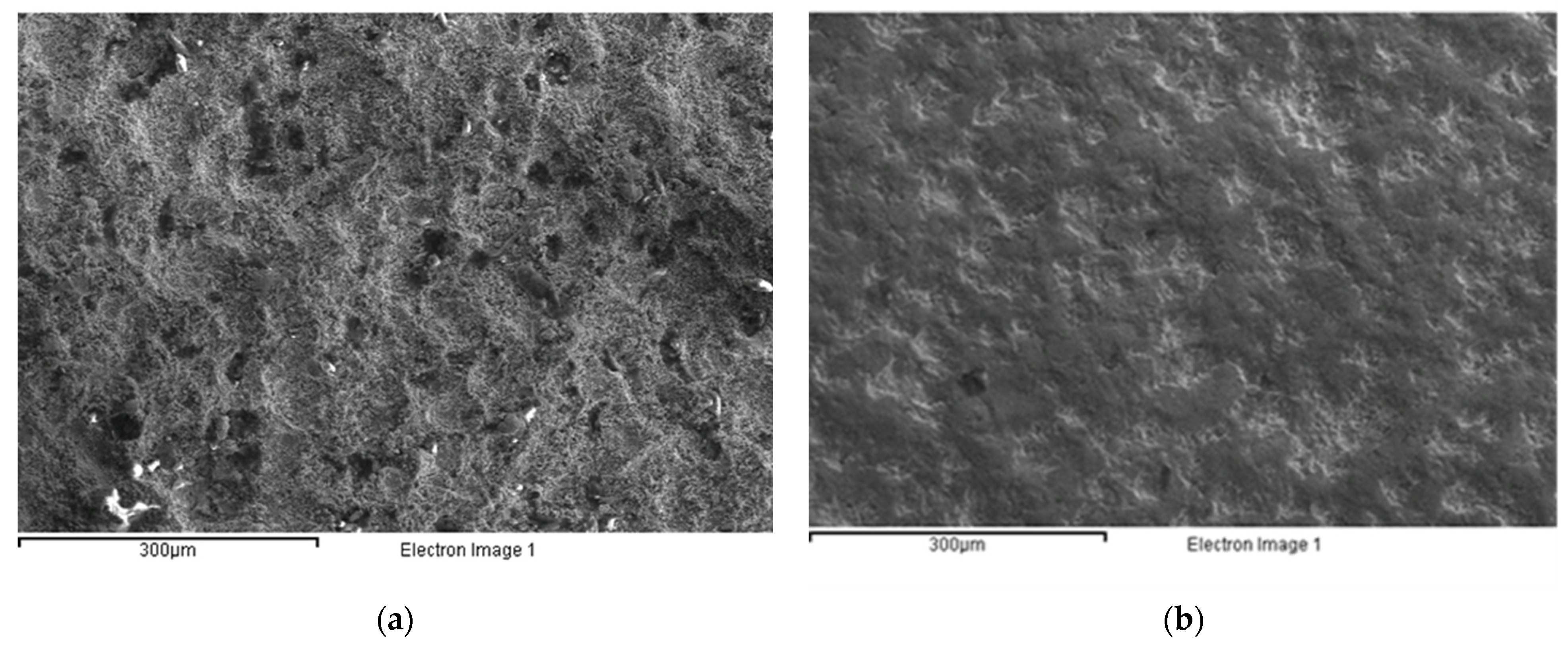 Micromachines 12 01477 g001
