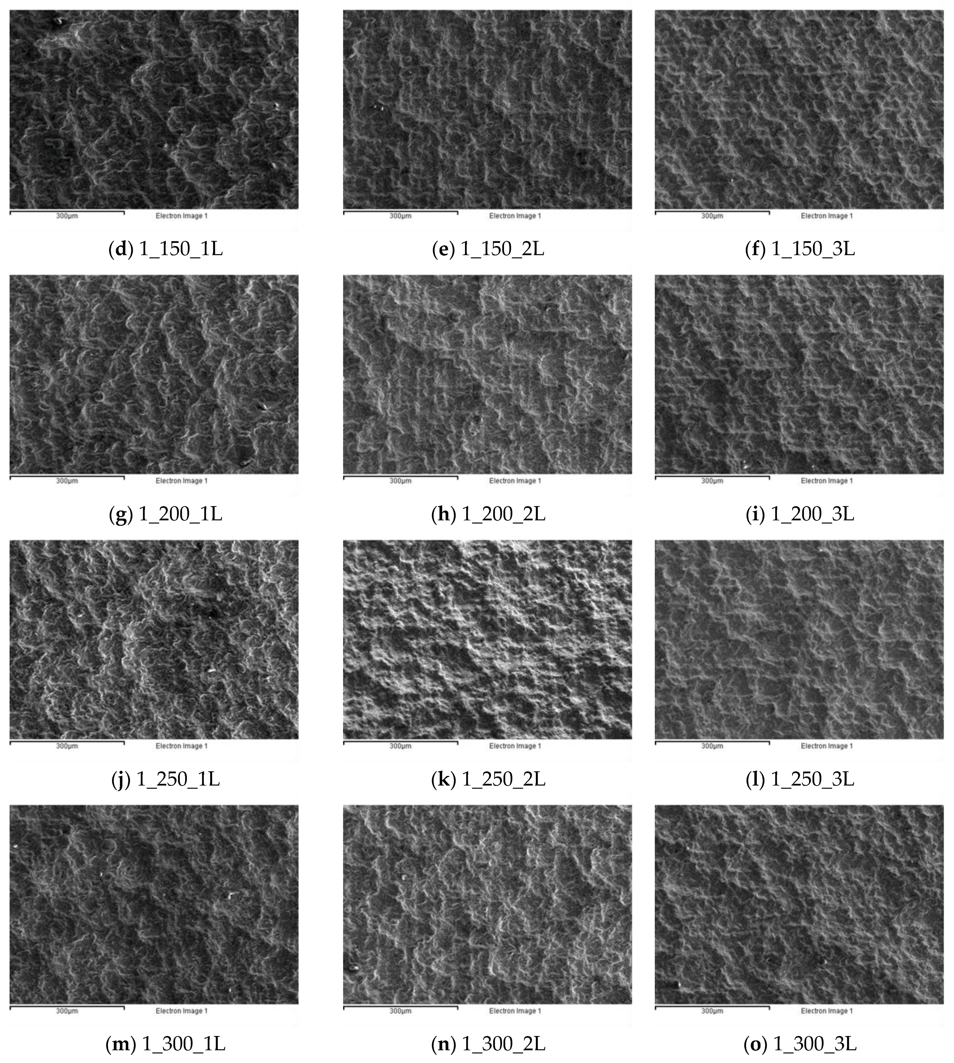 Micromachines 12 01477 g004b