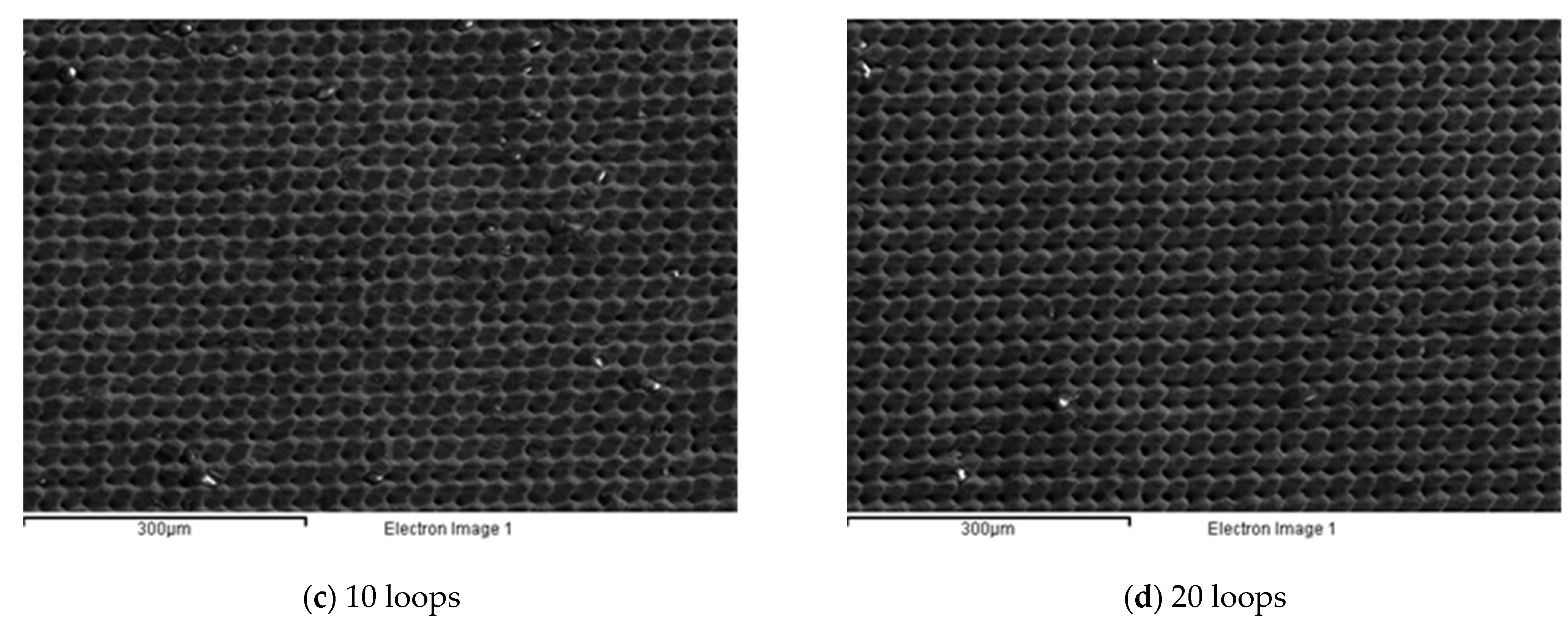 Micromachines 12 01477 g009b