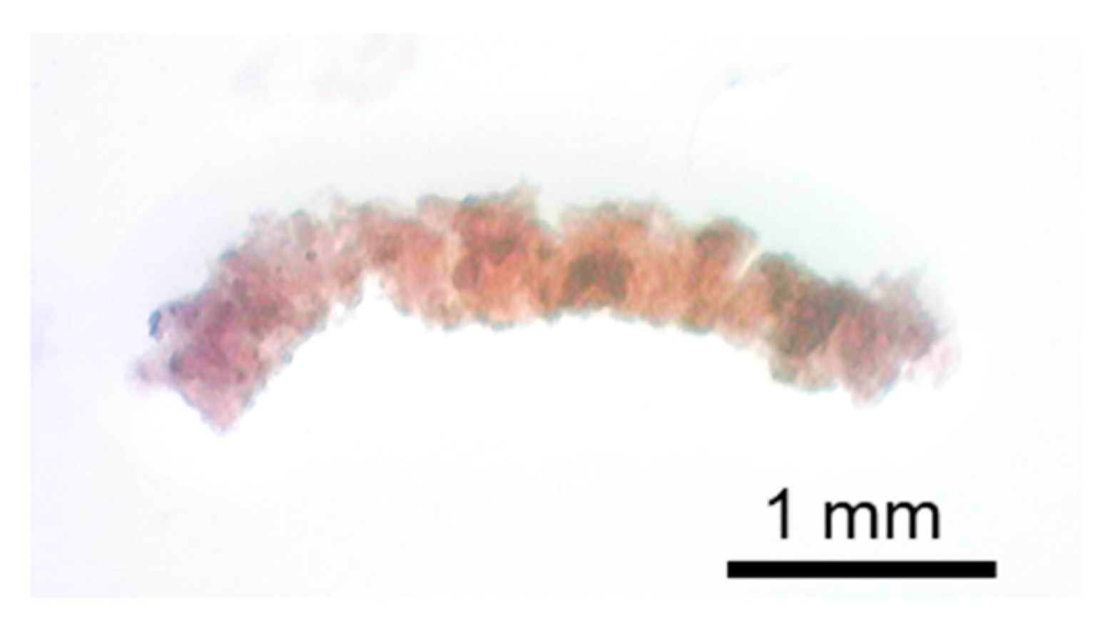 Micromachines 12 01482 g006